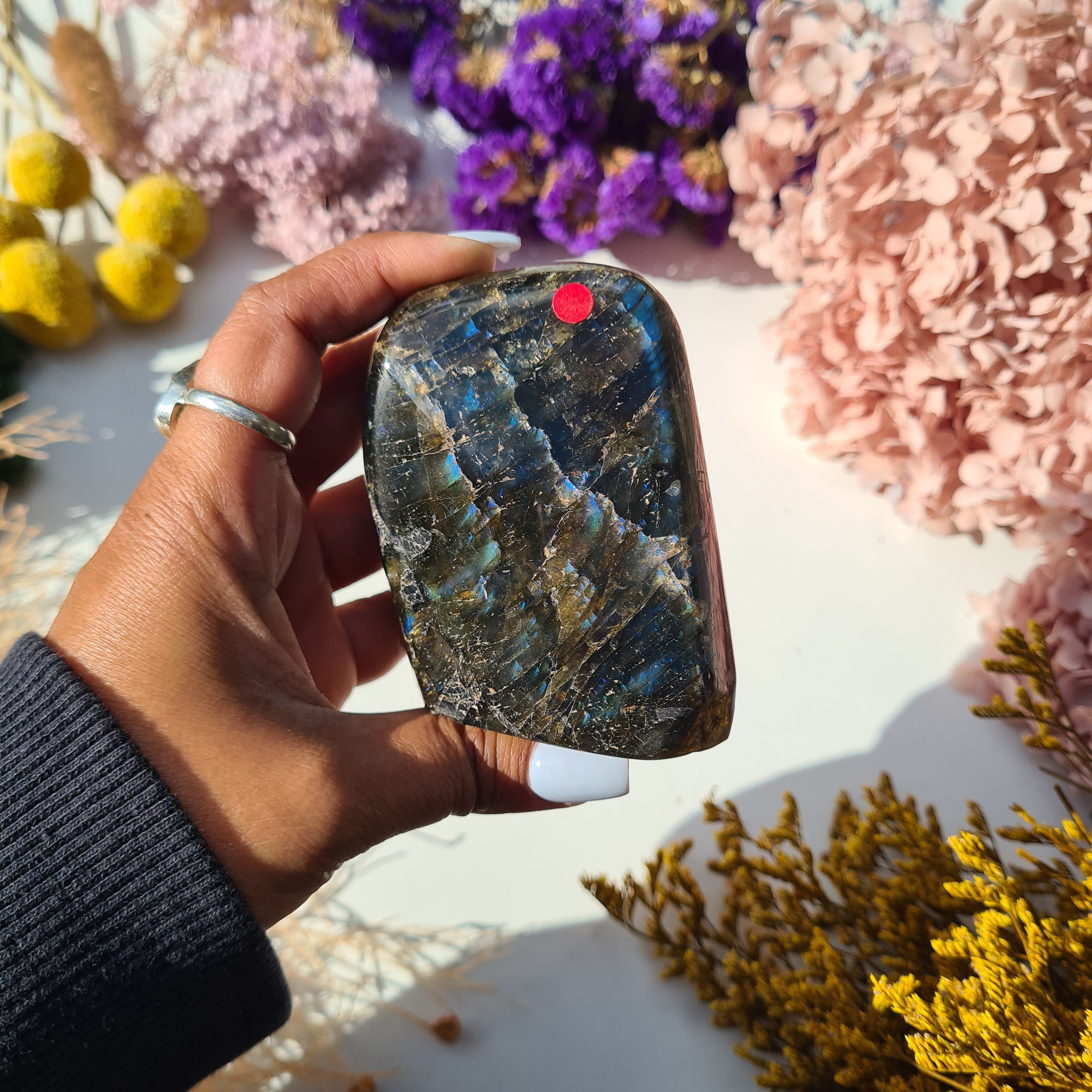 Labradorite Free Form | 360 g