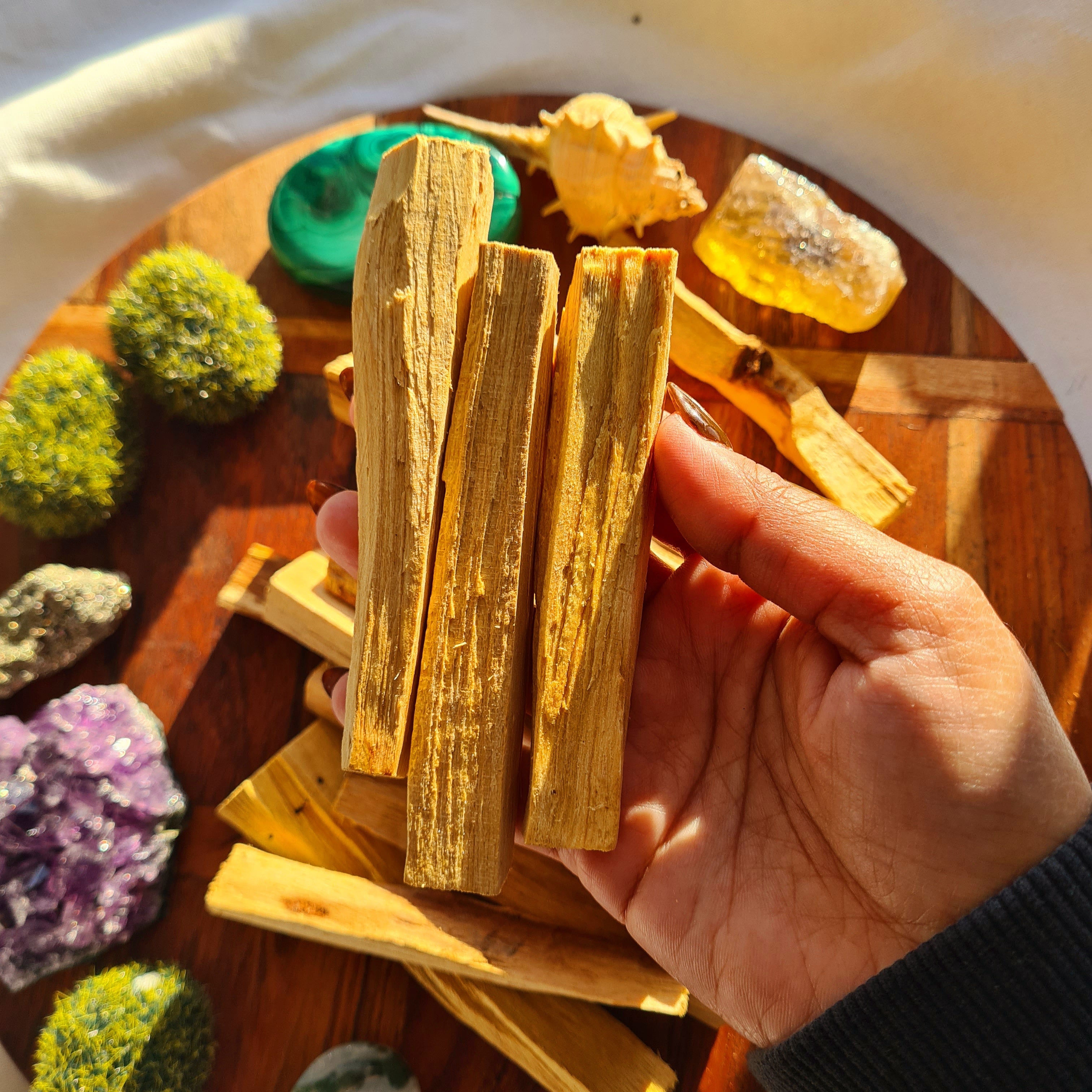 Palo Santo Cleansing Wood | 1 pc
