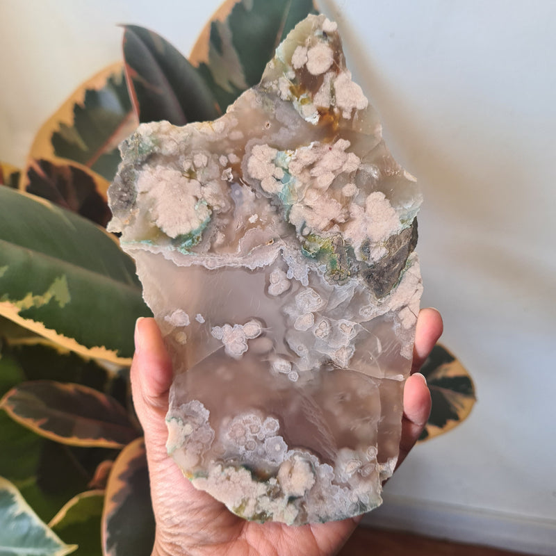 Flower Agate Slice ~ 1