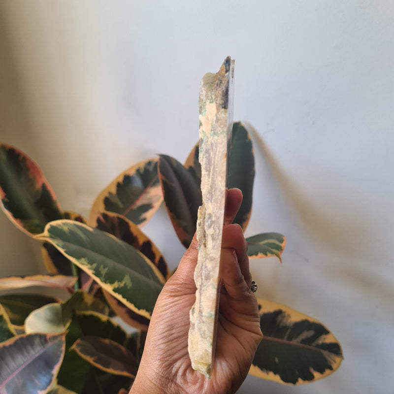 Flower Agate Slice ~ 1