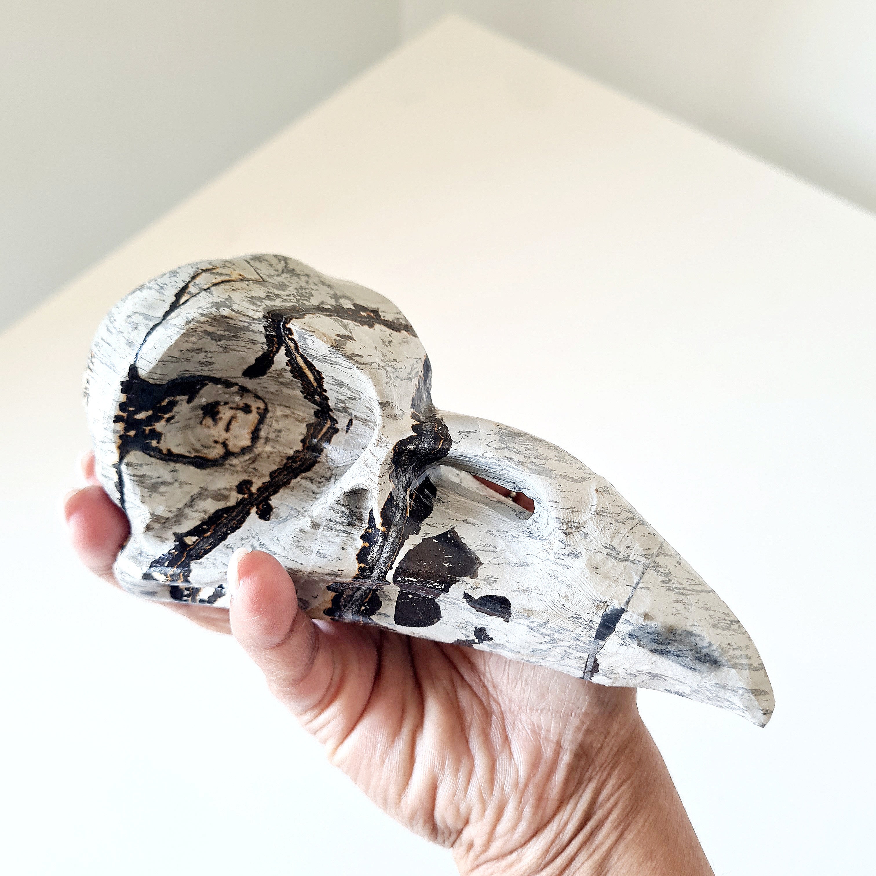 Mystic Picture Jasper Raven Skull | 14 cm | 400 g