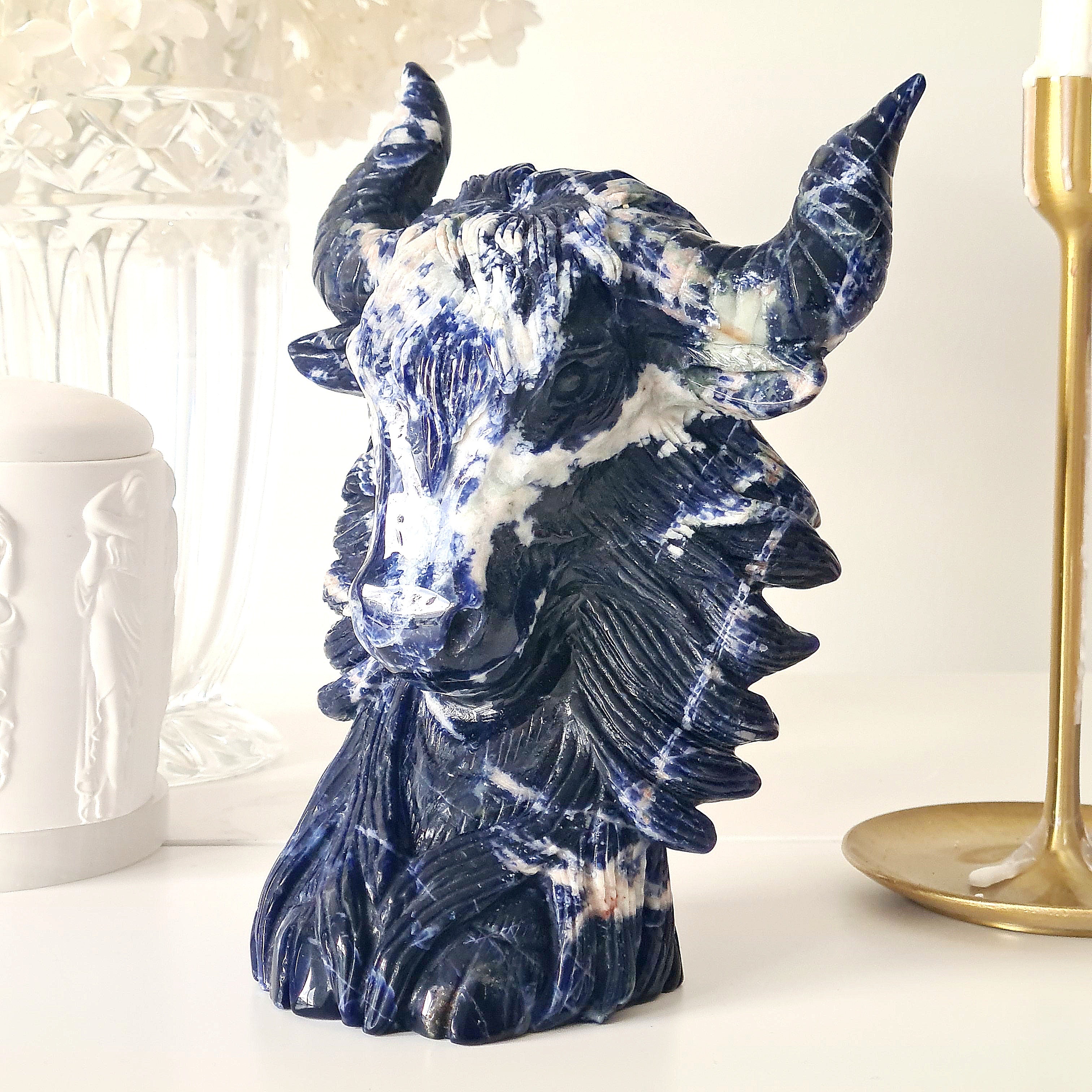 🦬 Sodalite Bison | Strength & Power | 1.6 kg