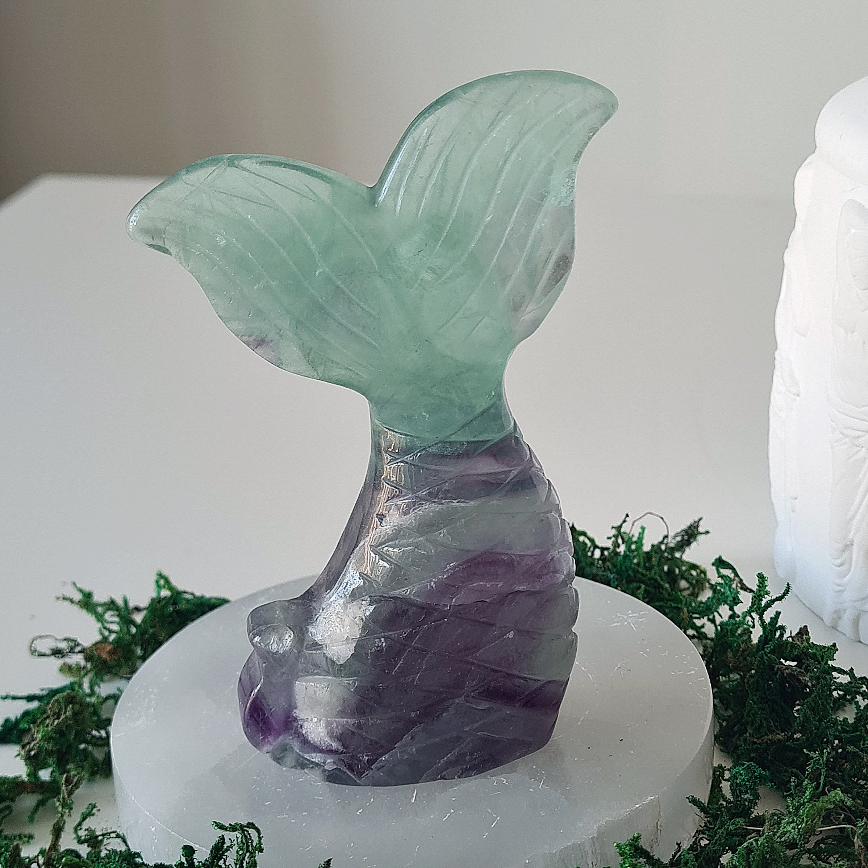 Siren & Mermaid Tail | 4 | Fluorite