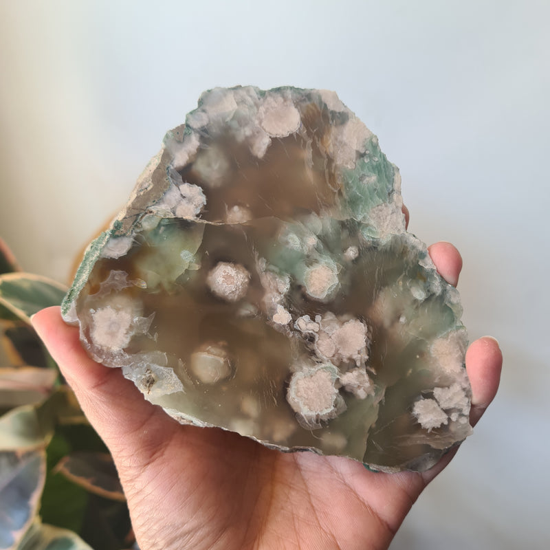 Flower Agate Slice ~9