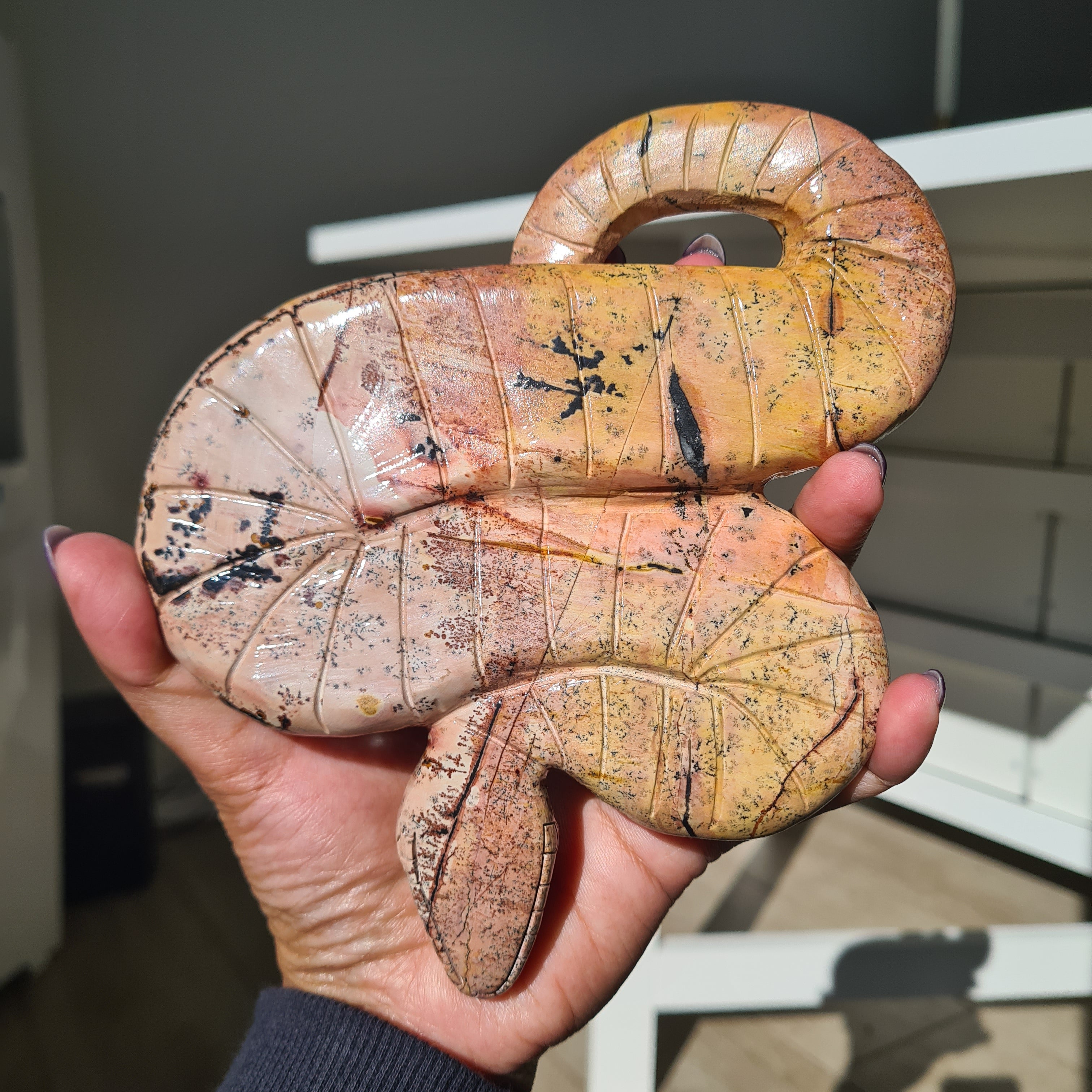 Picture Jasper Serpent | A | 538 g | 16 cm