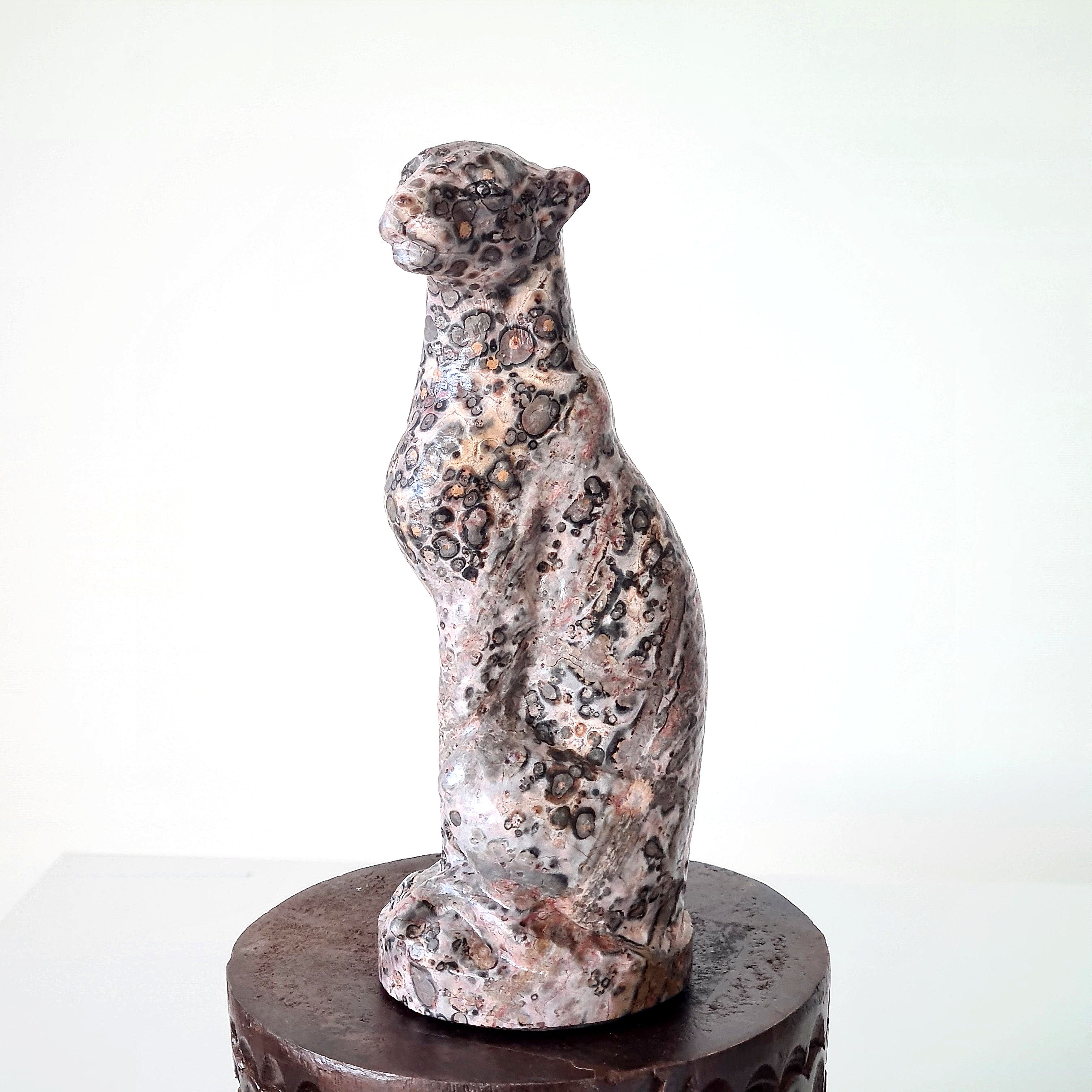 Jasper Leopard 🐆 | Earth Energy