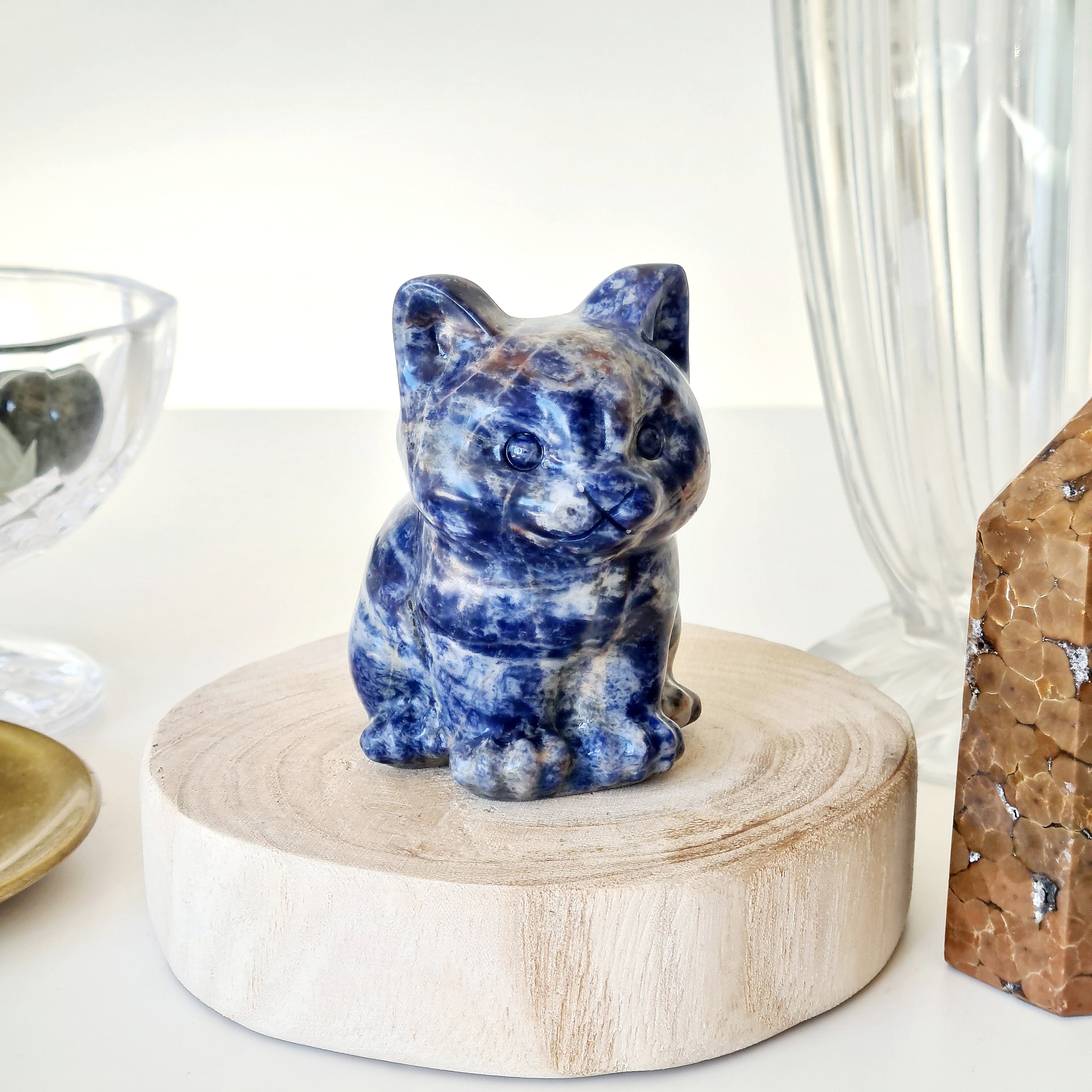 🐈 Sodalite Cat | Strength & Power | 280 g