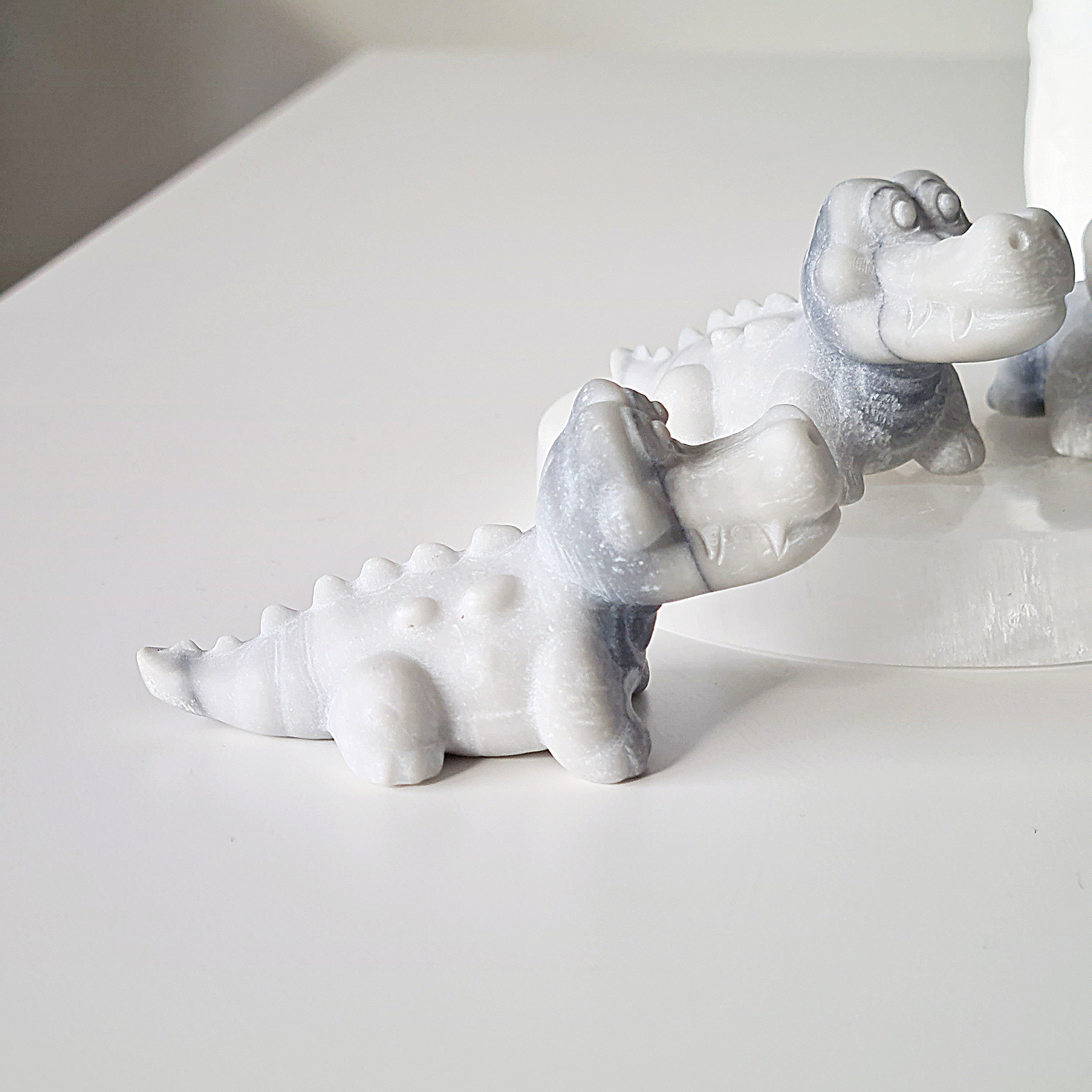 Tai Chi Croc | 1 Piece