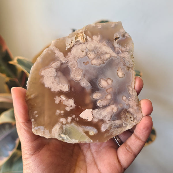 Flower Agate Slice ~10