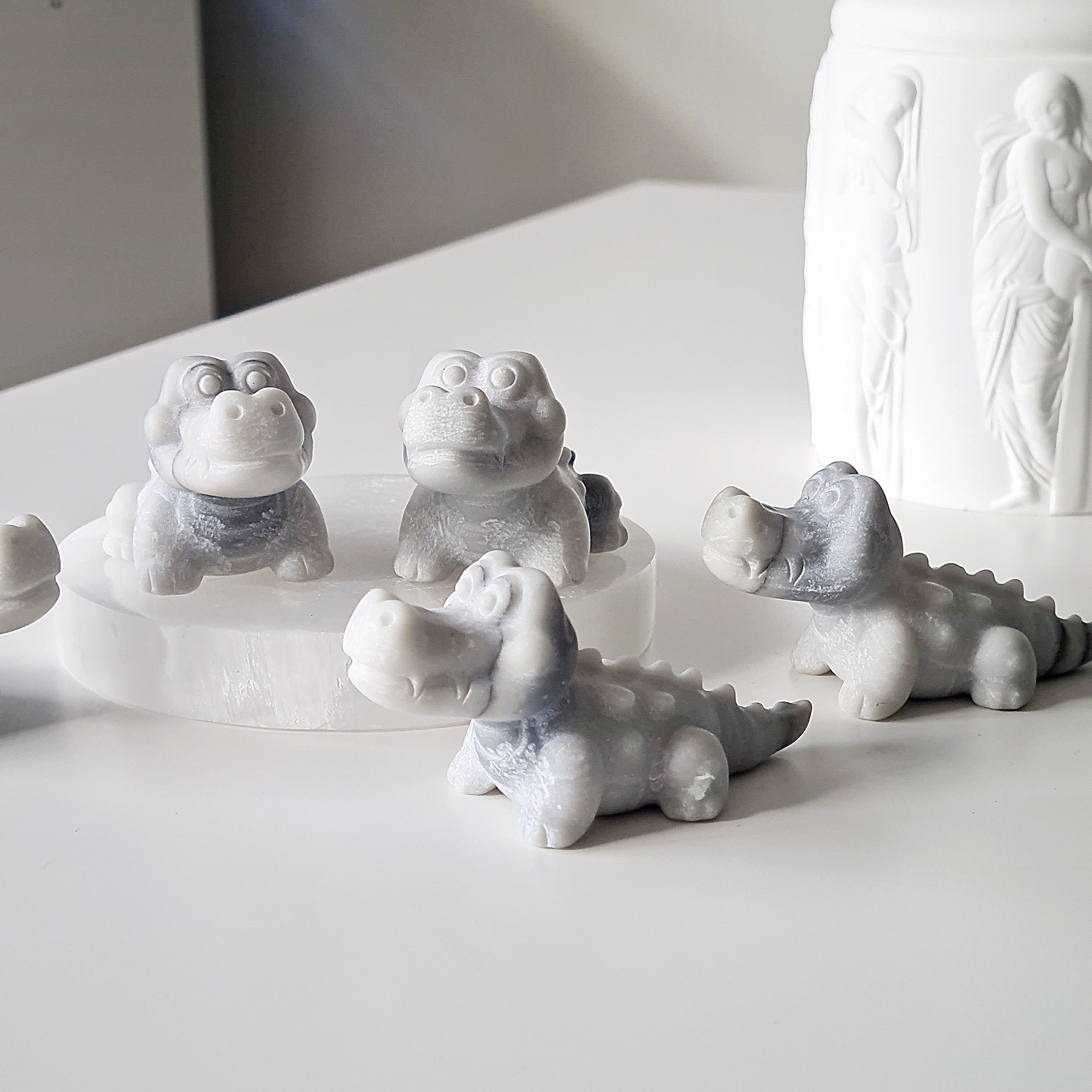 Tai Chi Croc | 1 Piece