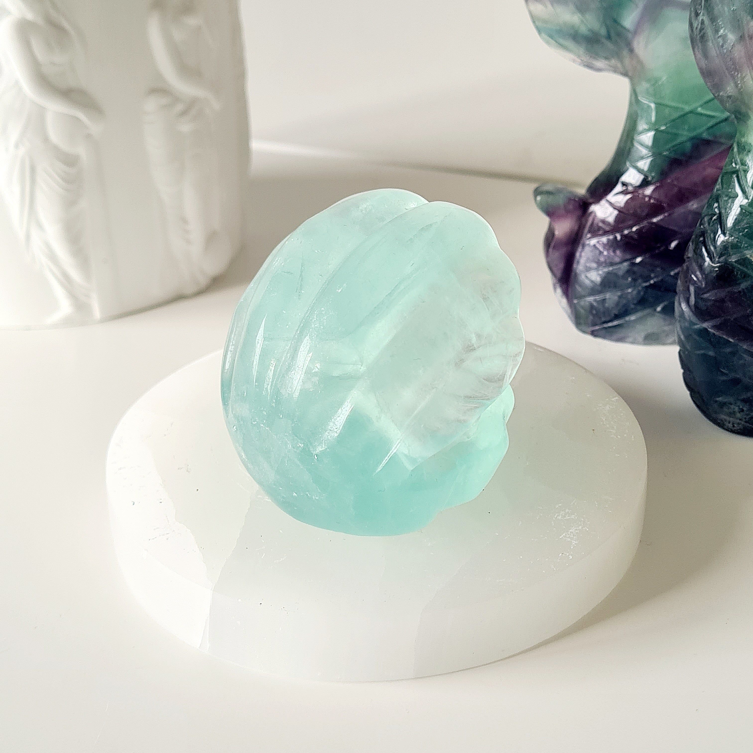 Mermaids Treasure Shell 🐚 | 1 | 6 cm  |