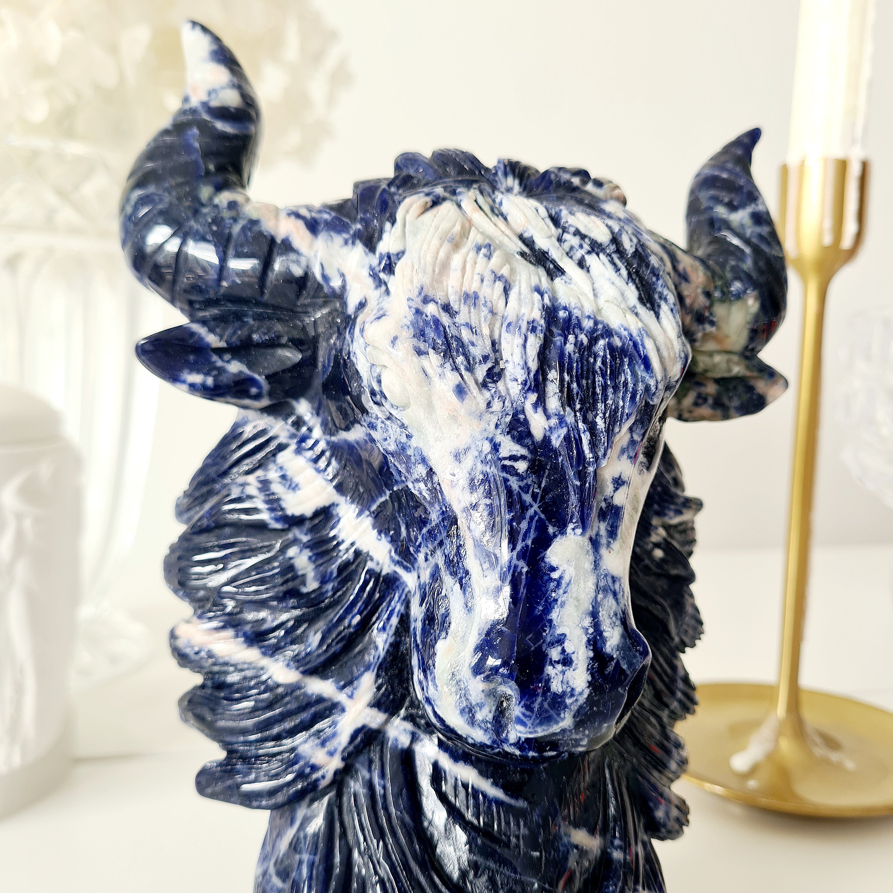 🦬 Sodalite Bison | Strength & Power | 1.6 kg