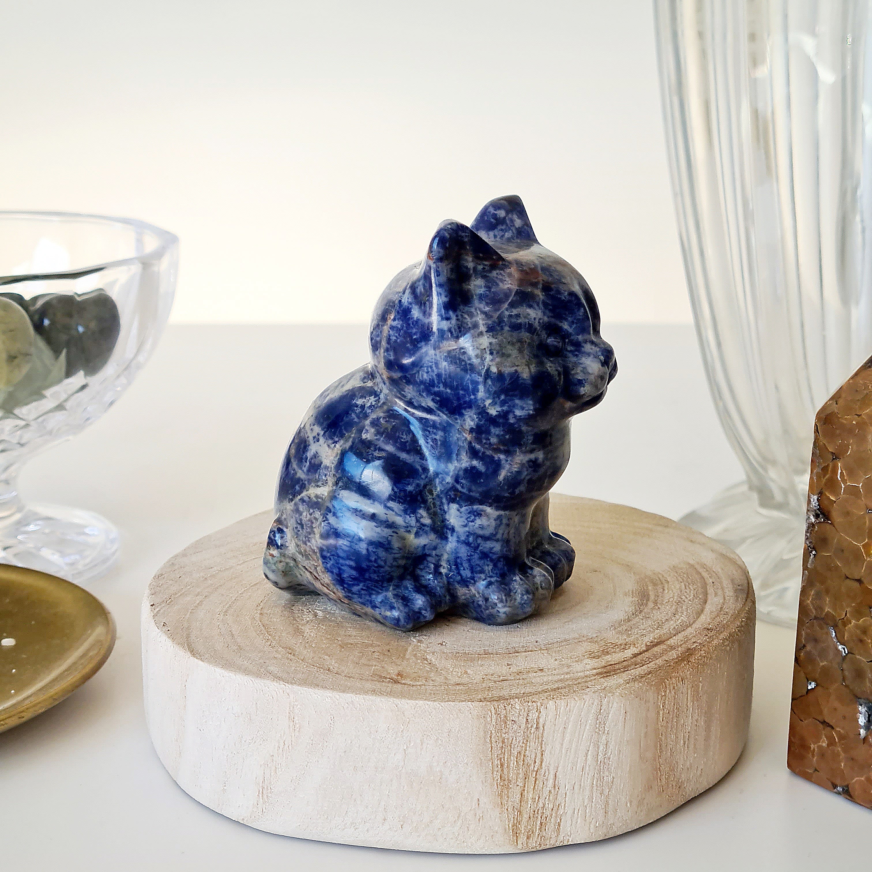 🐈 Sodalite Cat | Strength & Power | 280 g
