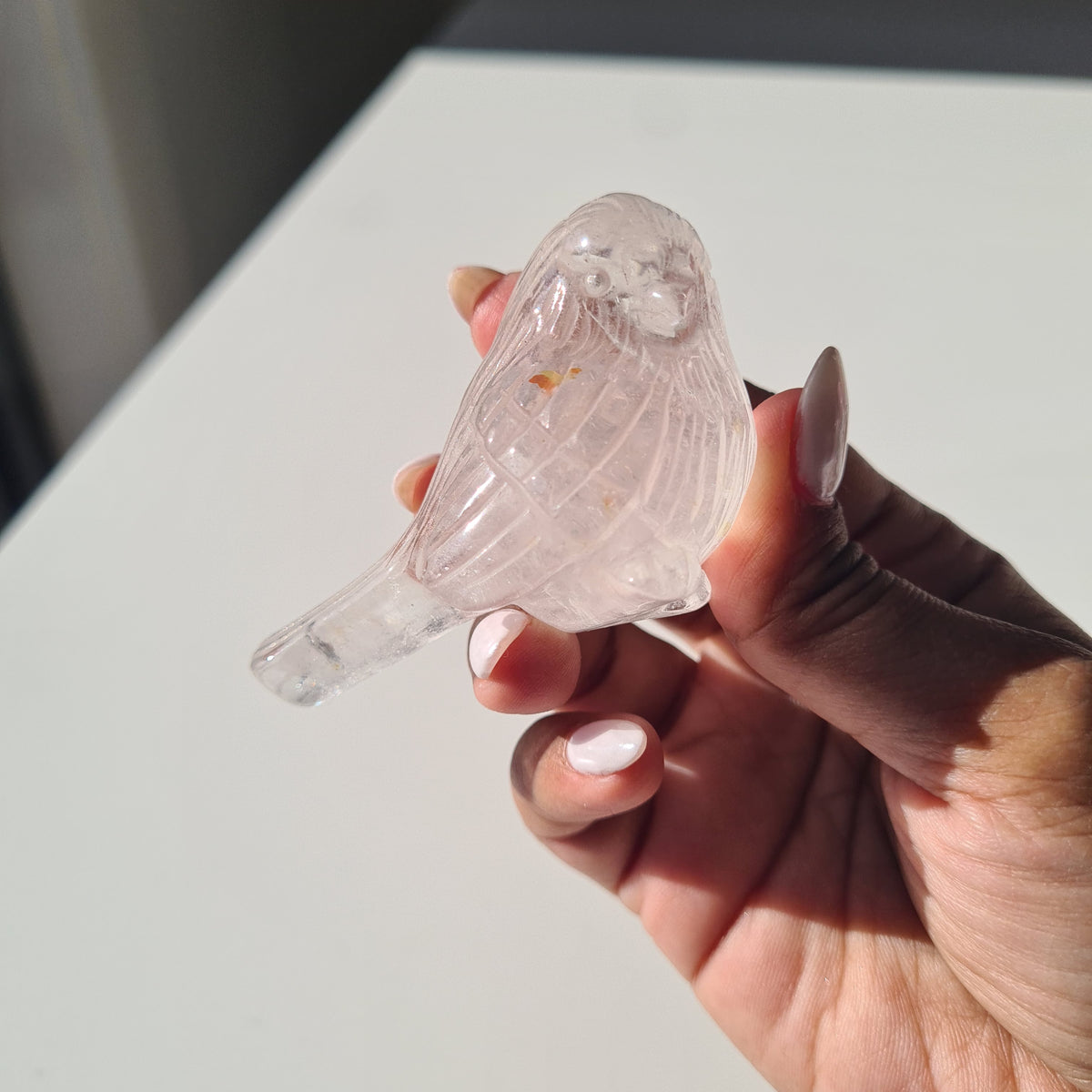 Clear Quartz Crystal Bird 🐦 | 1 Piece