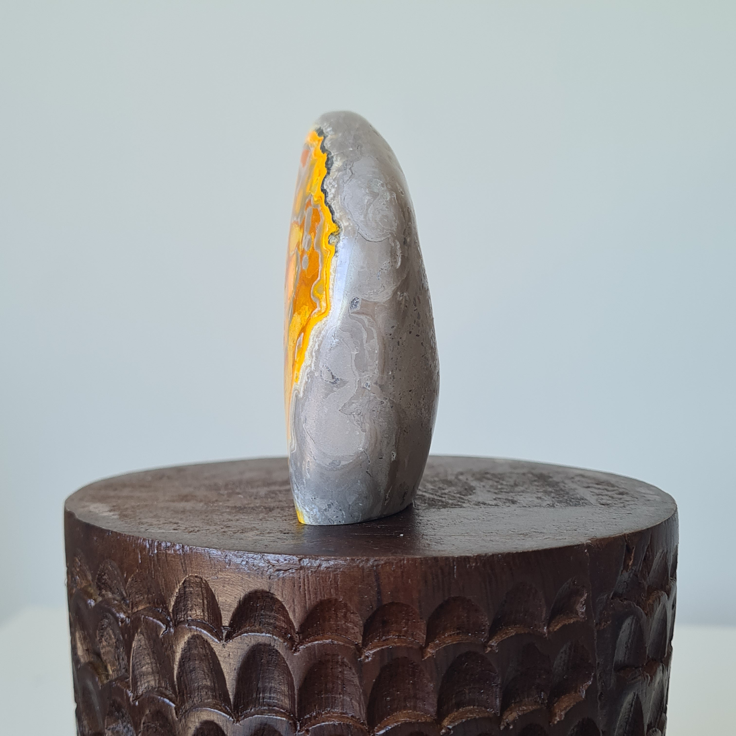 Hallow’s Glow — Bumblebee Jasper Freeform 🎃✨| B