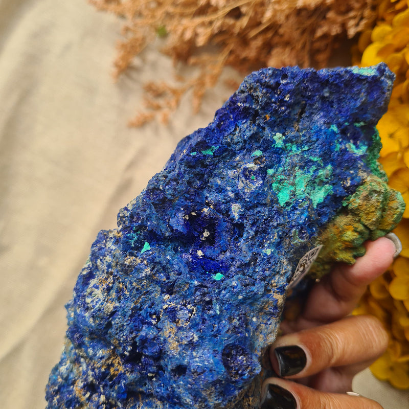 Azurite Malachite Specimen~ Large