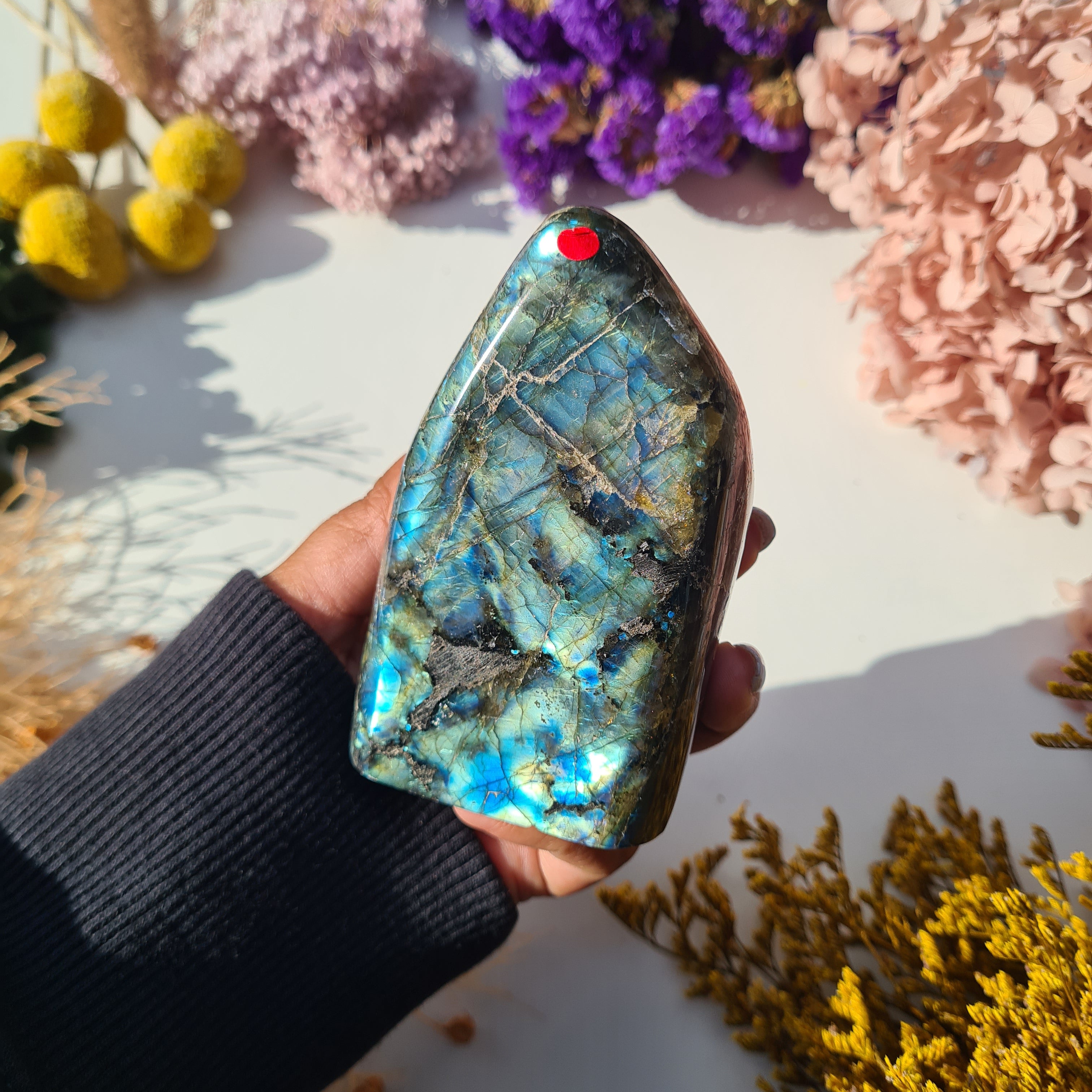 Labradorite Free Form | 402 g