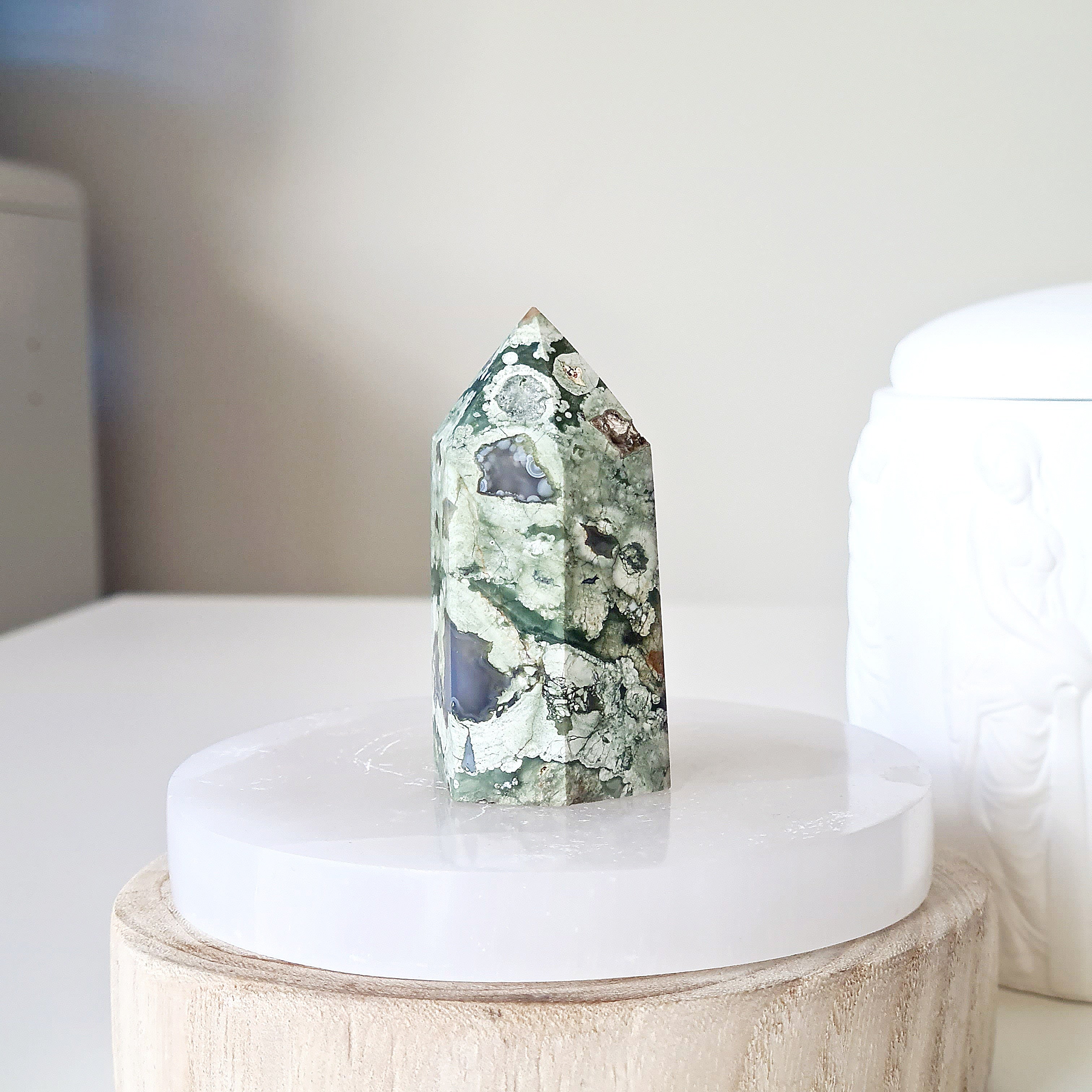 Rainforest Jasper | A | 6 cm