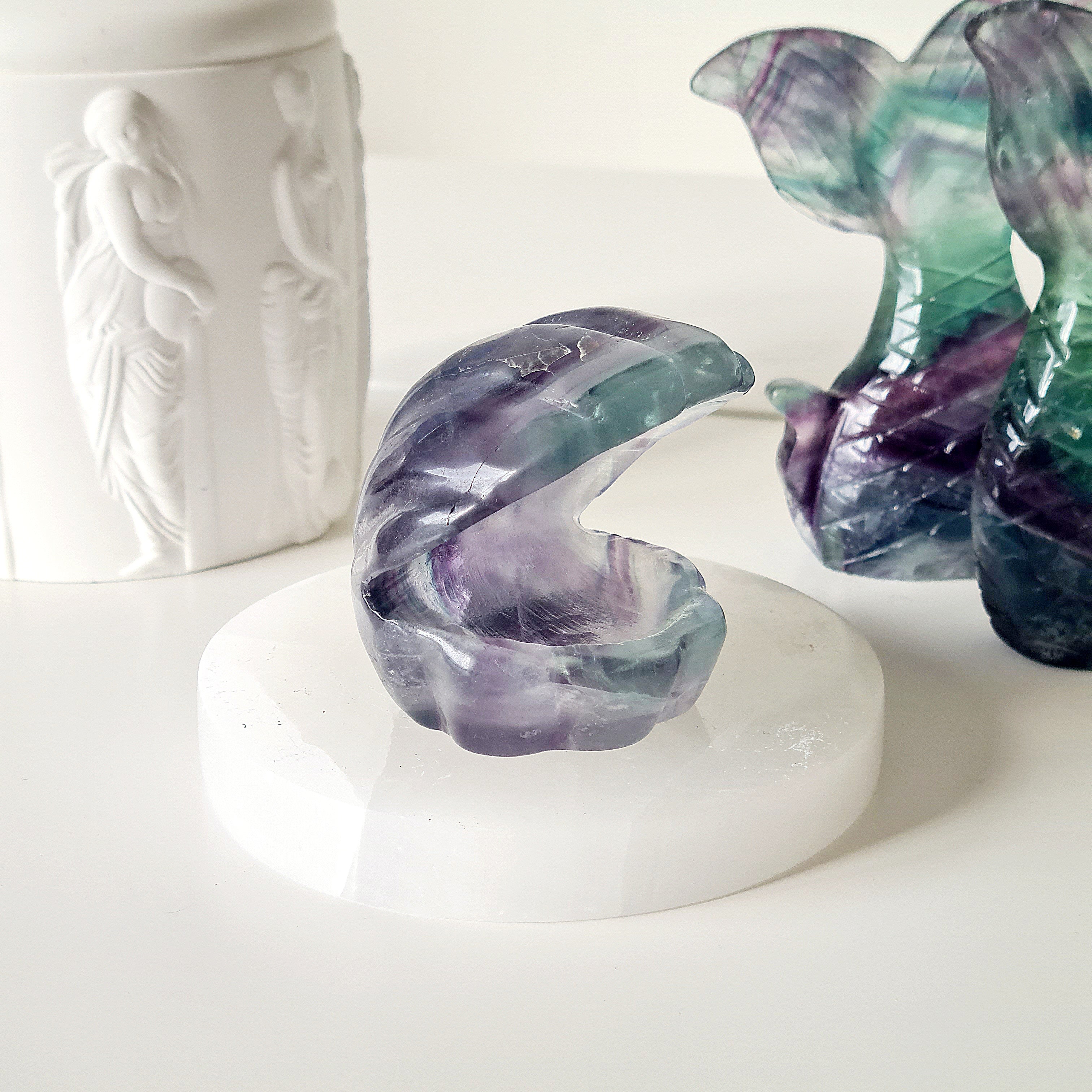 Mermaids Treasure Shell 🐚 | 4 | 6.5 cm