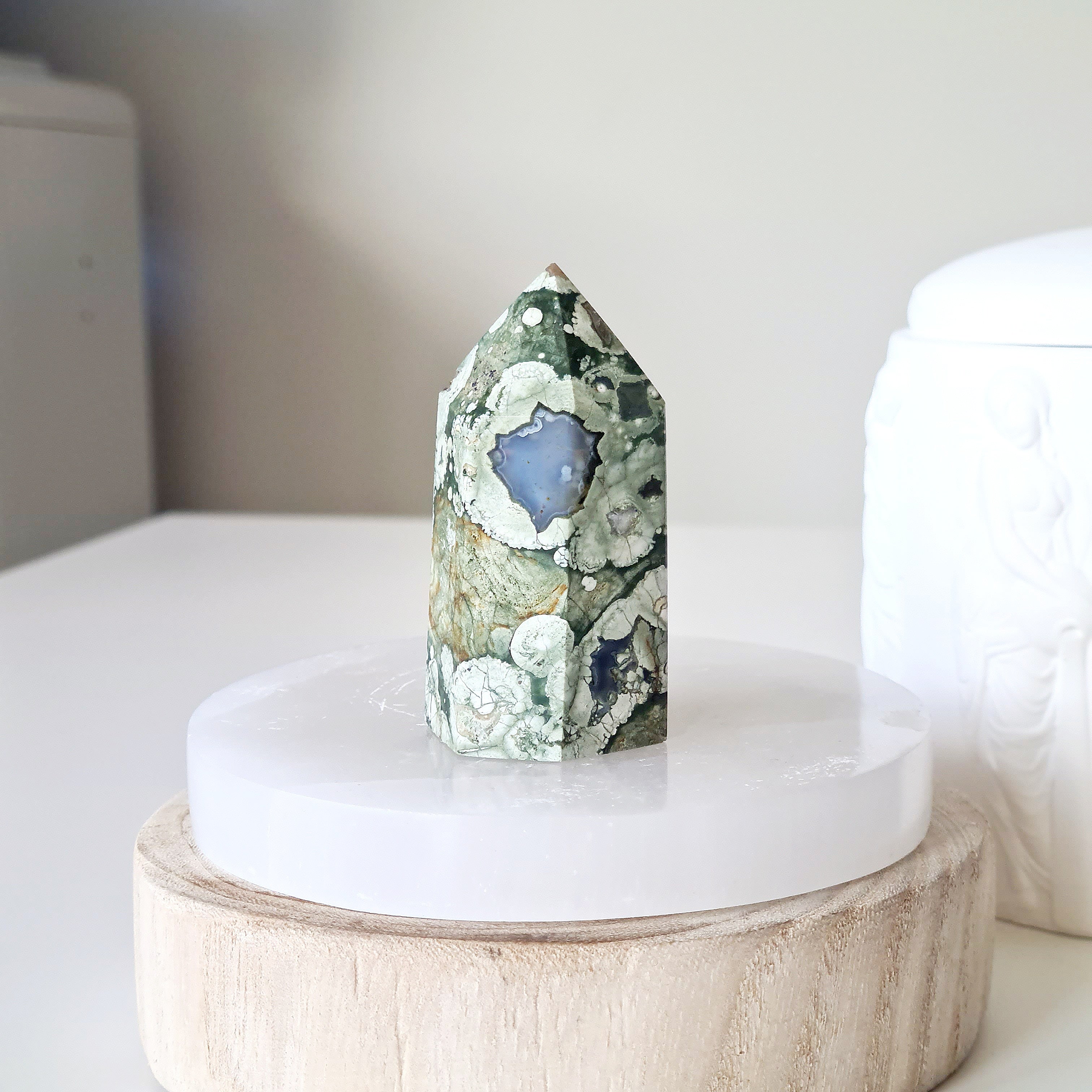 Rainforest Jasper | A | 6 cm
