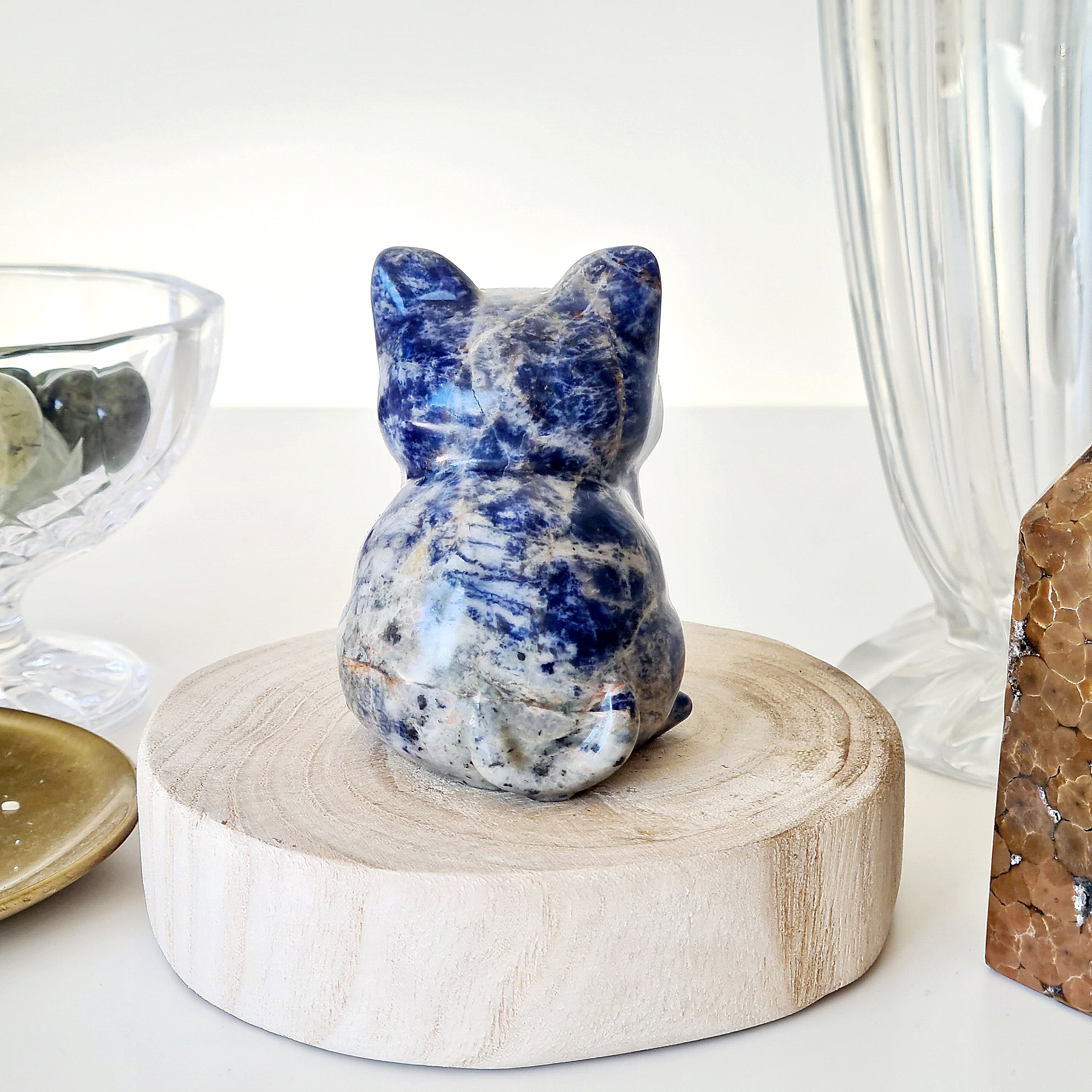 🐈 Sodalite Cat | Strength & Power | 280 g