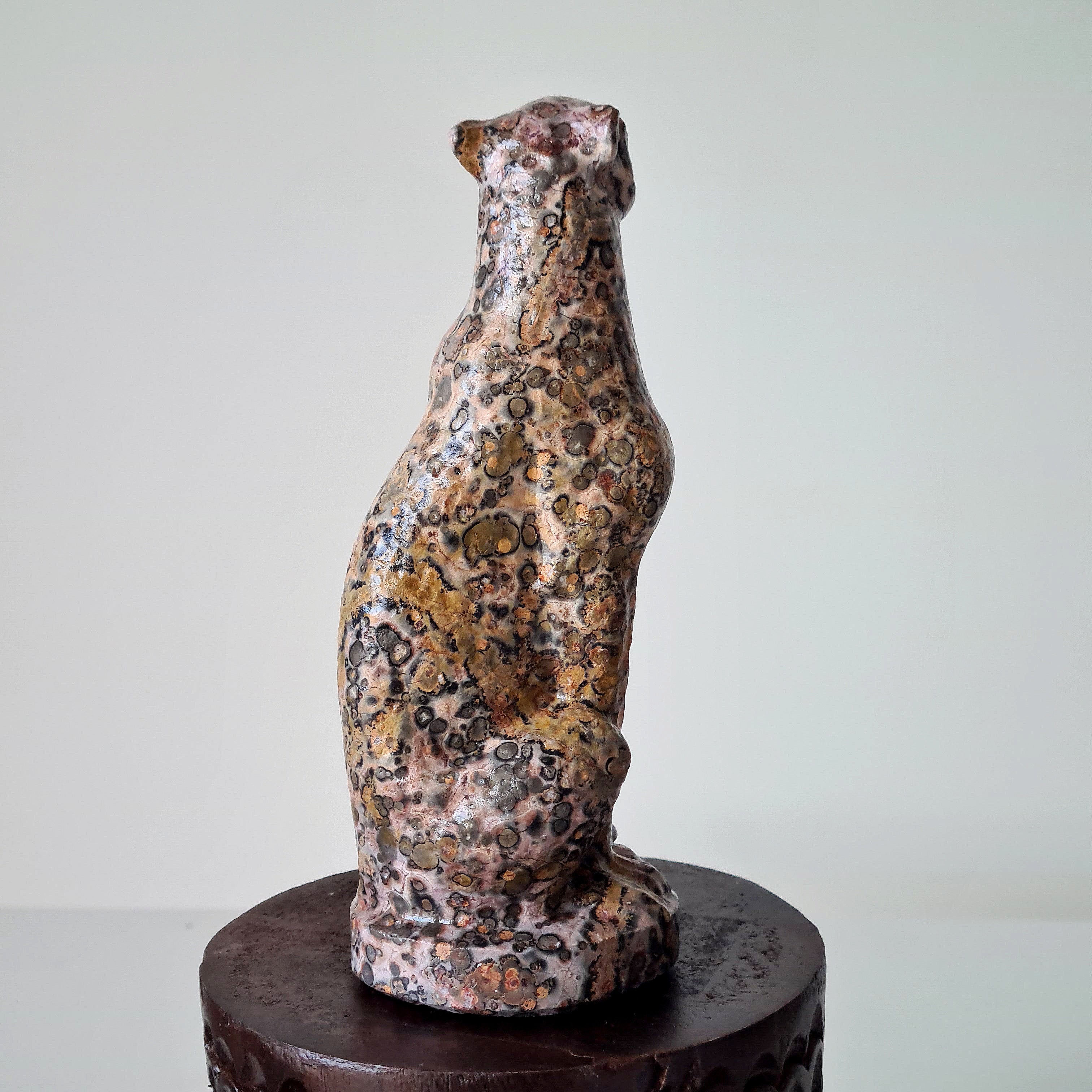 Jasper Leopard 🐆 | Earth Energy