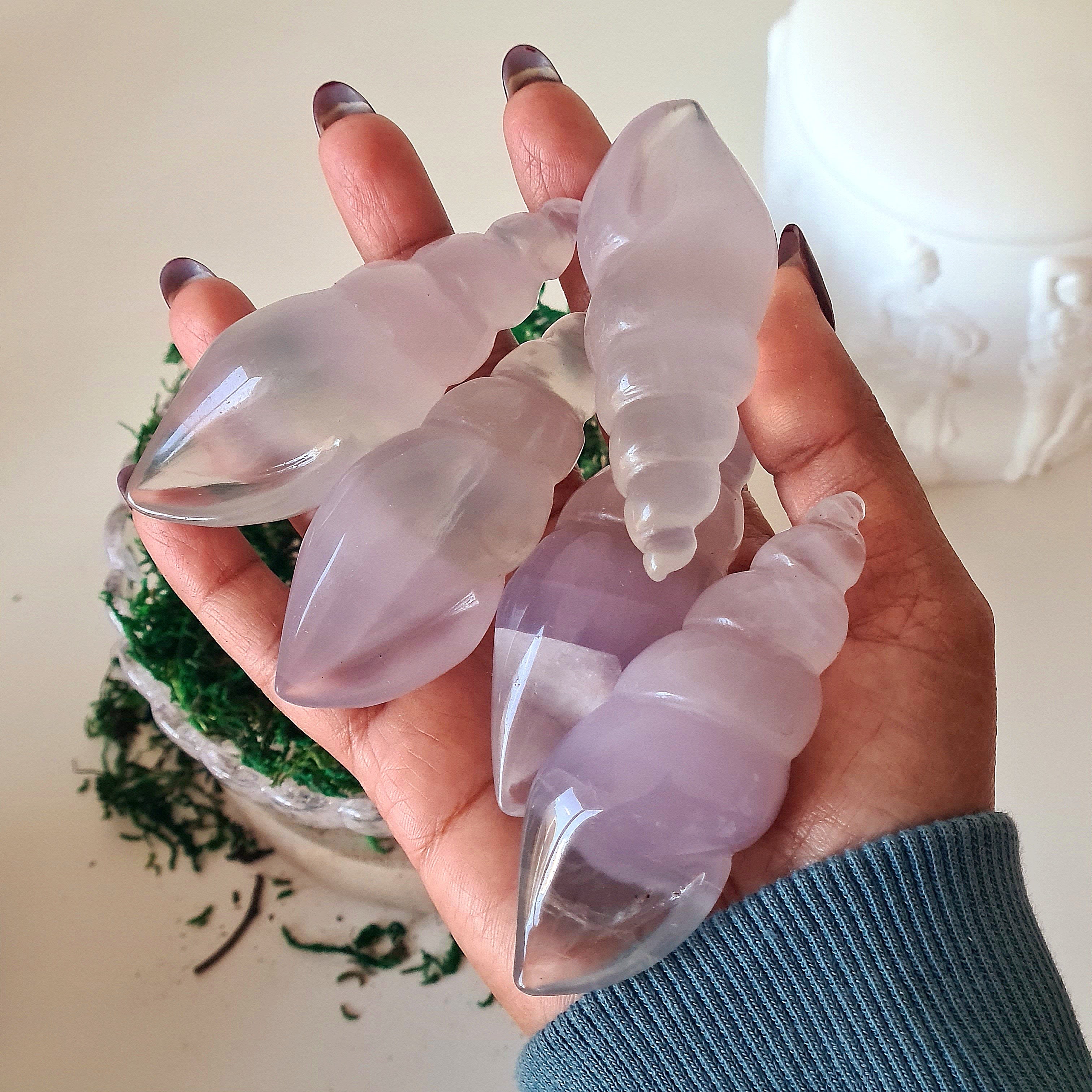 Lilac Fluorite Siren Shell | 1 Piece | Intutively Picked | Appx 7.2 cm