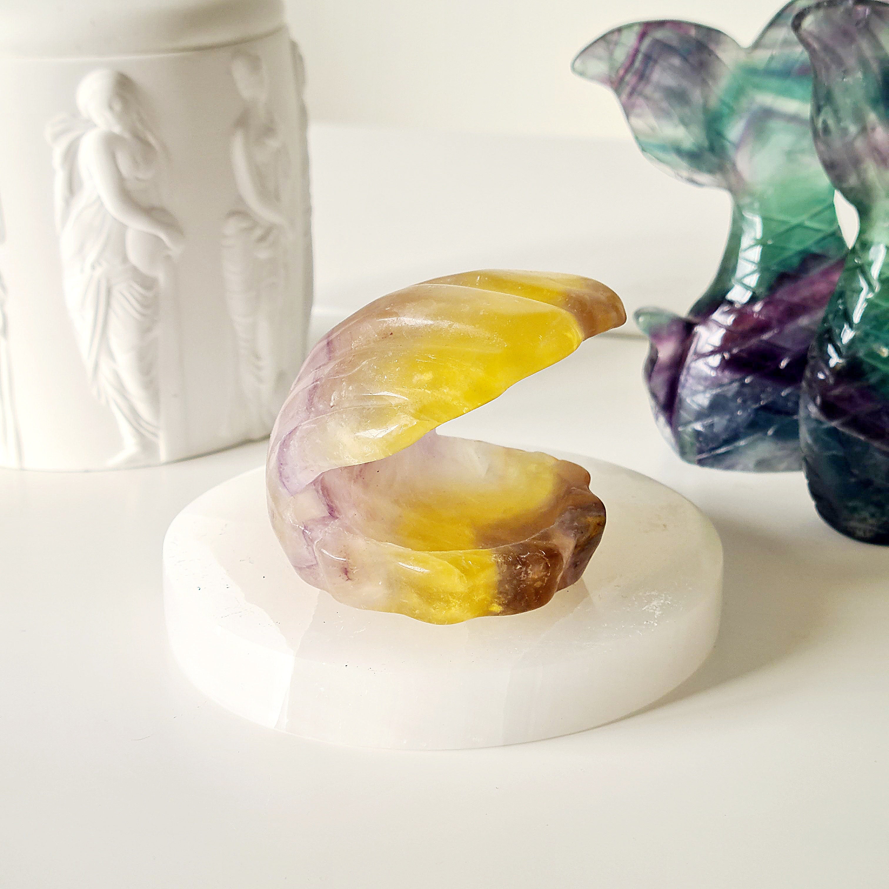 Mermaids Treasure Shell 🐚 | 3 | 7 cm