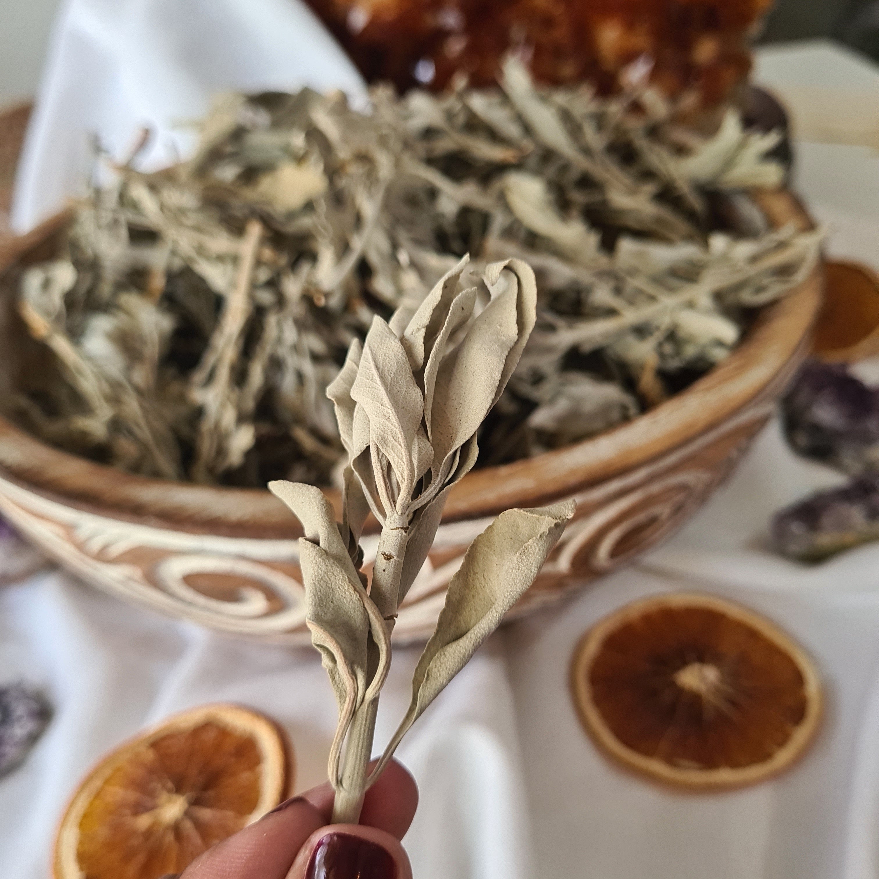 White Sage | Loose Leaf Bag | 15g