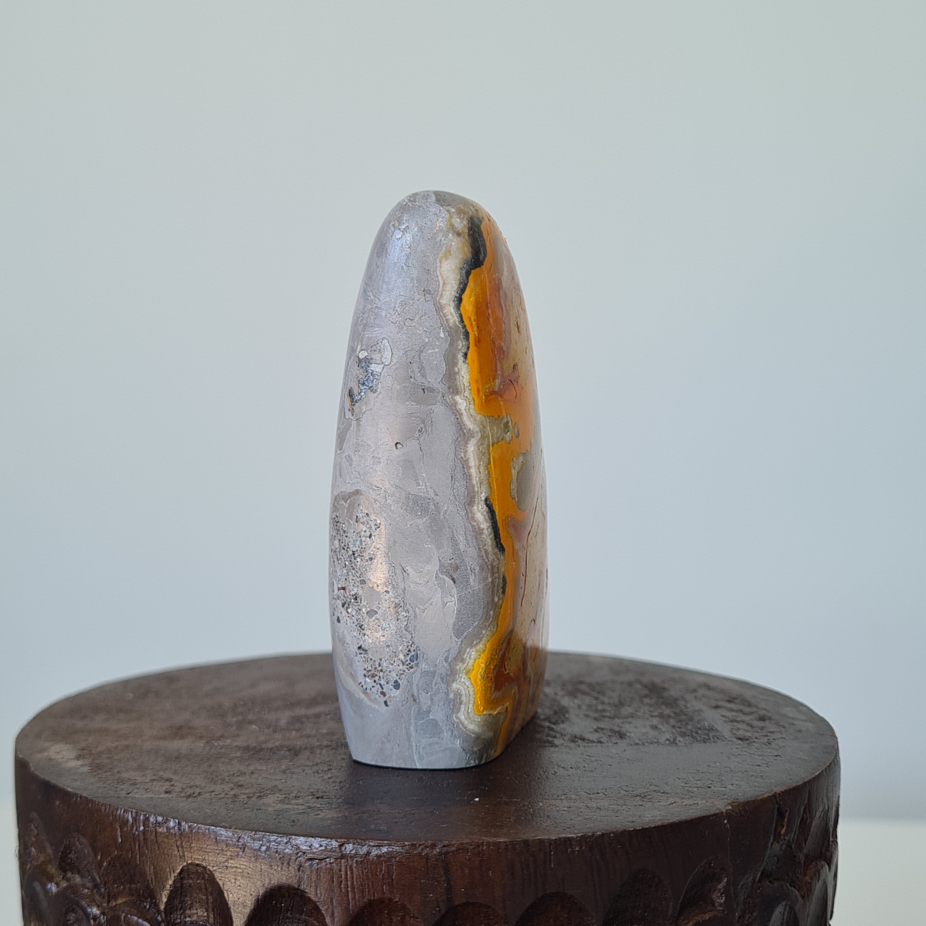 Hallow’s Glow — Bumblebee Jasper Freeform 🎃✨| B