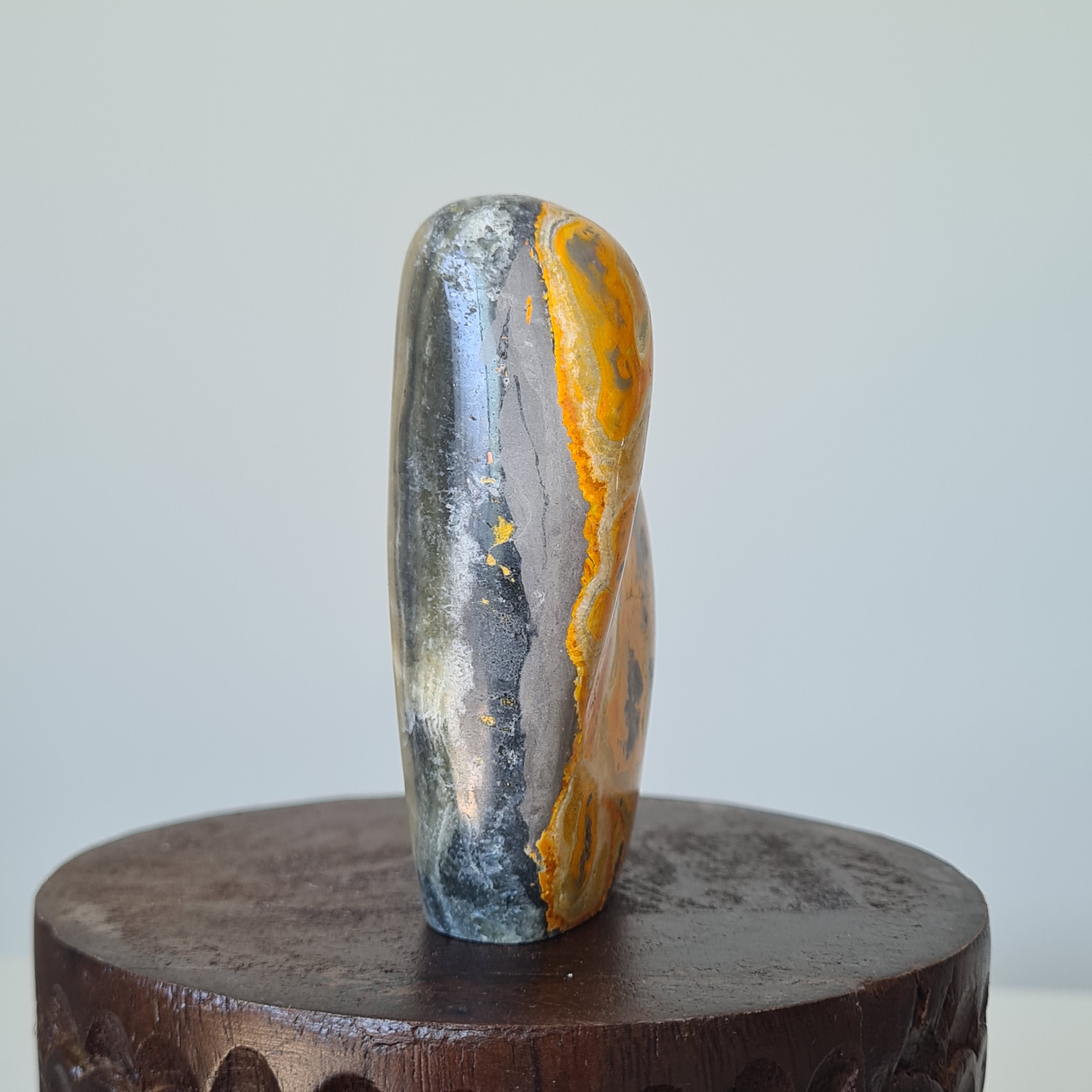 Hallow’s Glow — Bumblebee Jasper Freeform 🎃✨| C