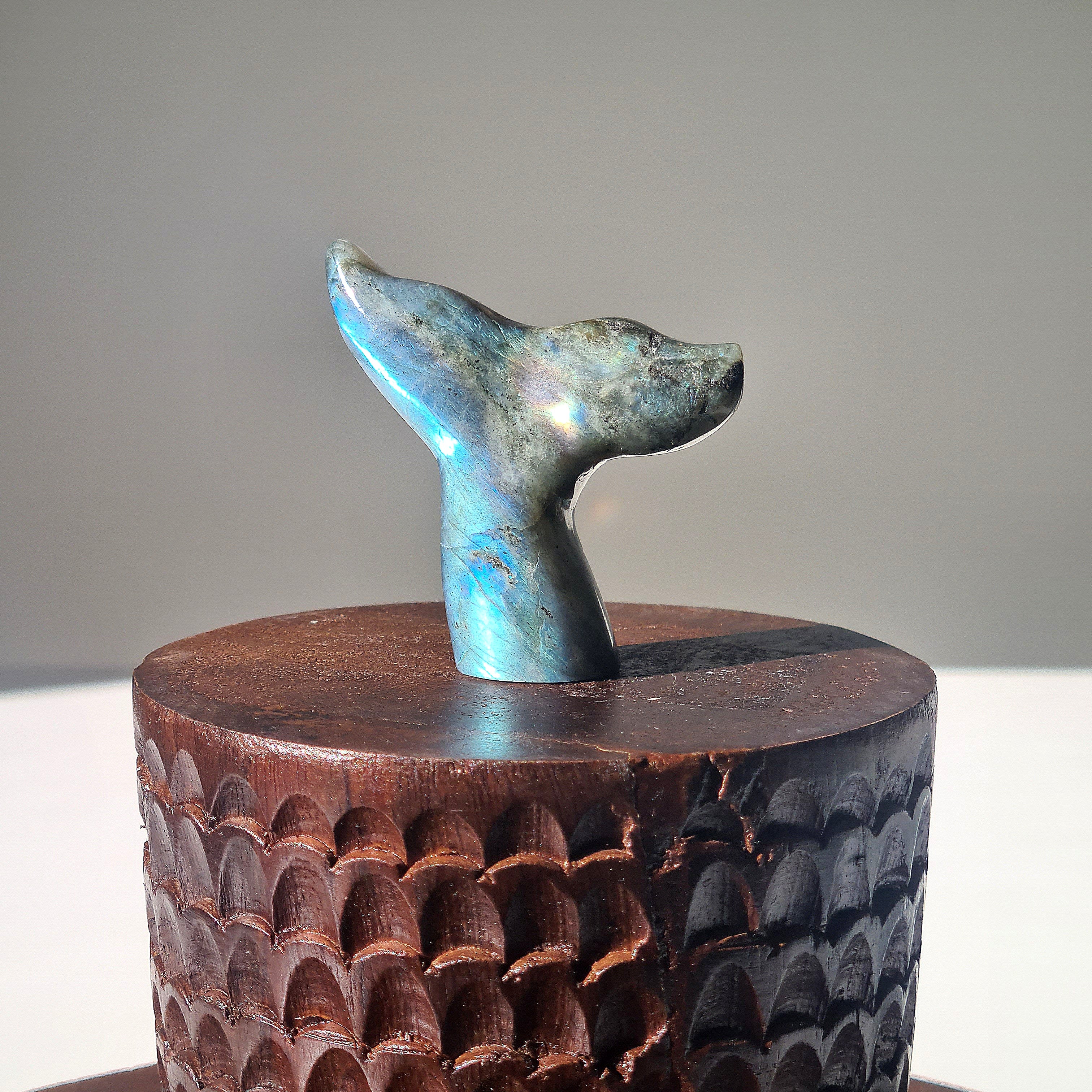 Labradorite Siren Tail | C | Small