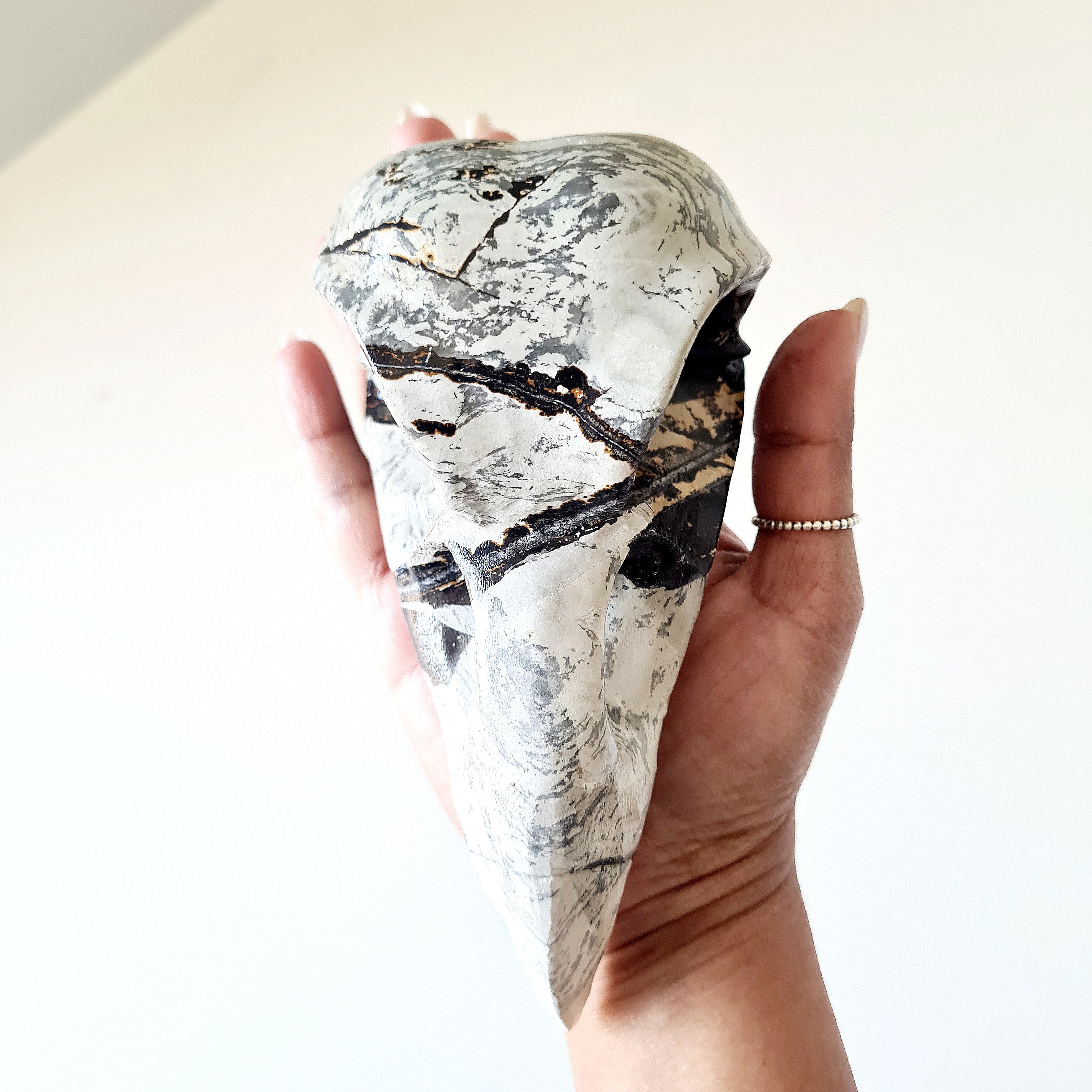 Mystic Picture Jasper Raven Skull | 14 cm | 400 g