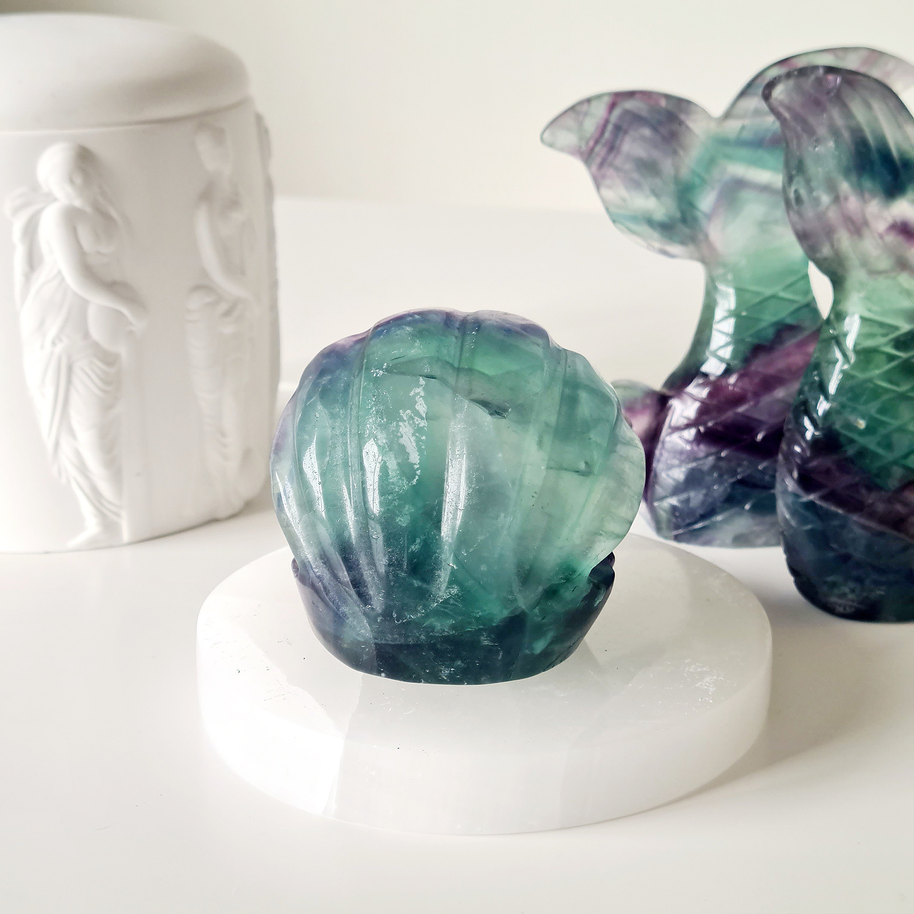 Mermaids Treasure Shell 🐚 | 2 | 6.5 cm