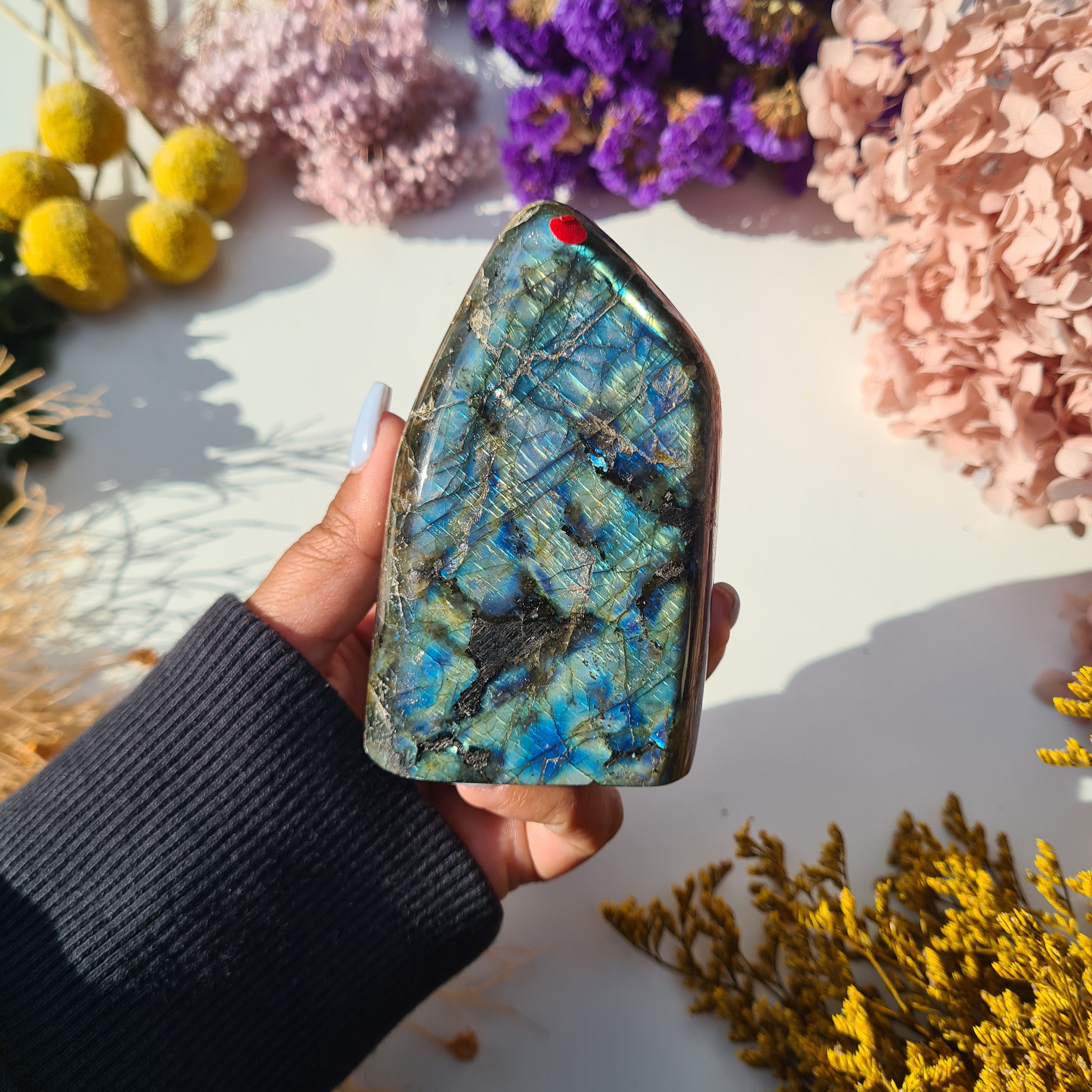 Labradorite Free Form | 402 g