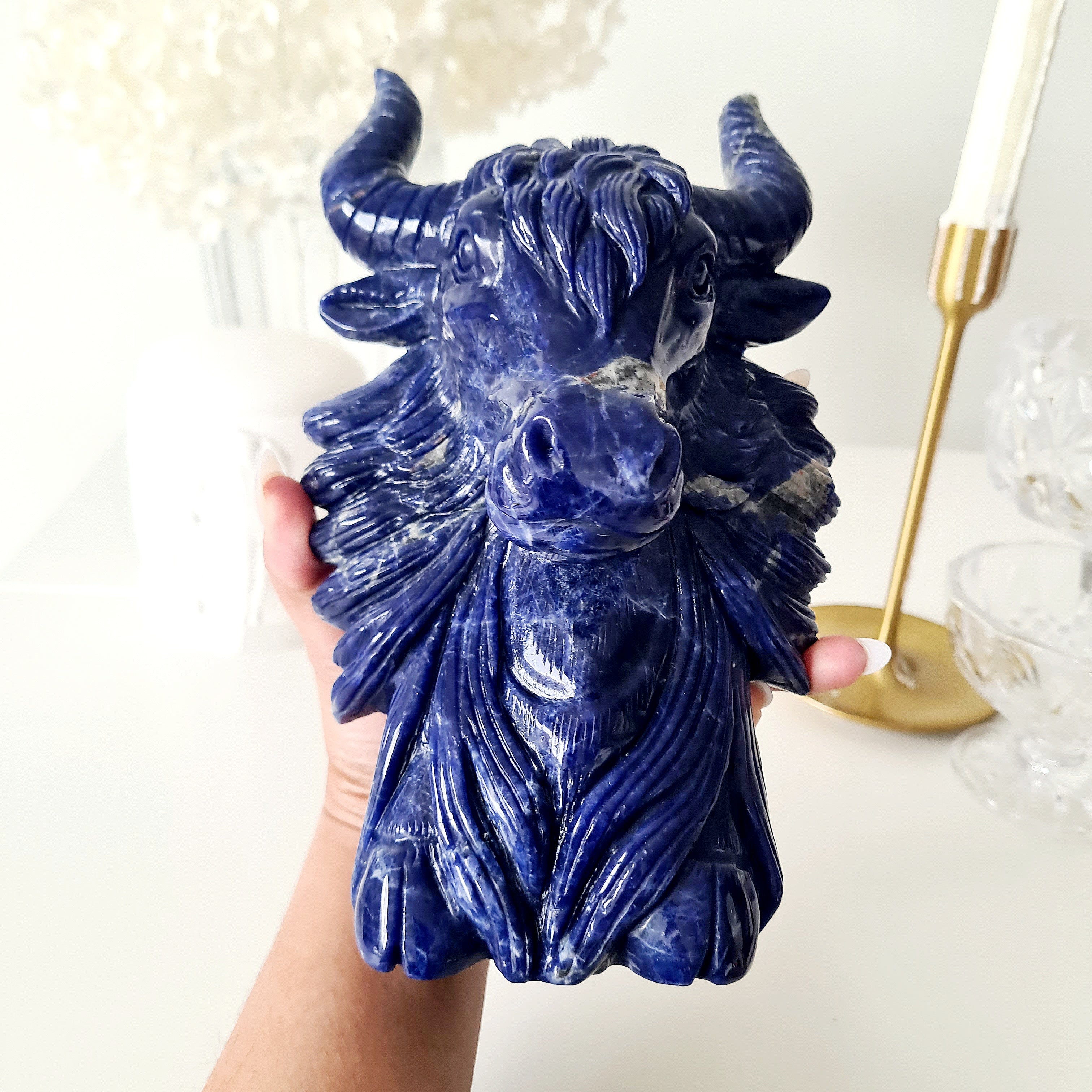 🦬 Sodalite Bison | Strength & Power | 1.9 kg