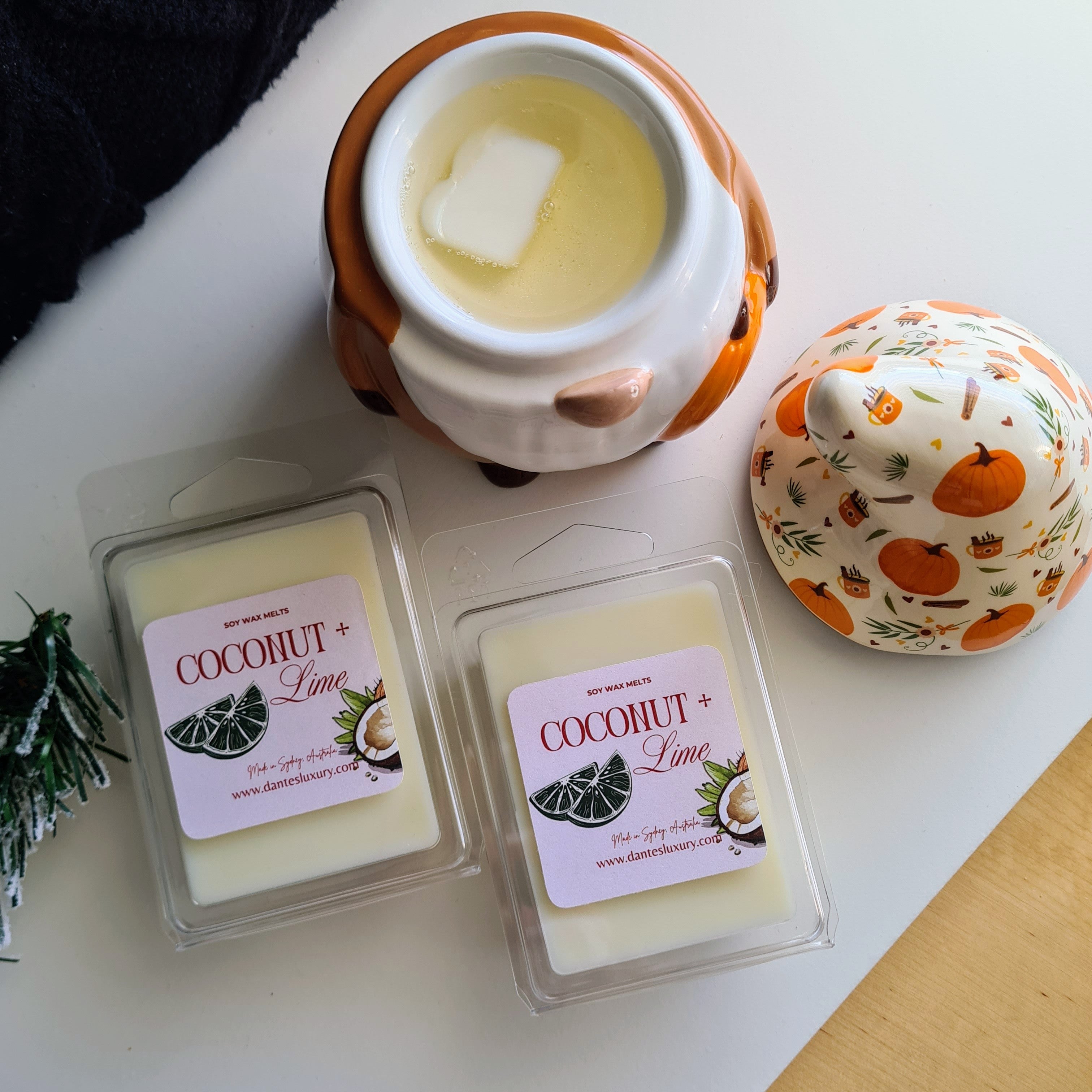 Coconut & Lime Wax Melts | 1 Pack