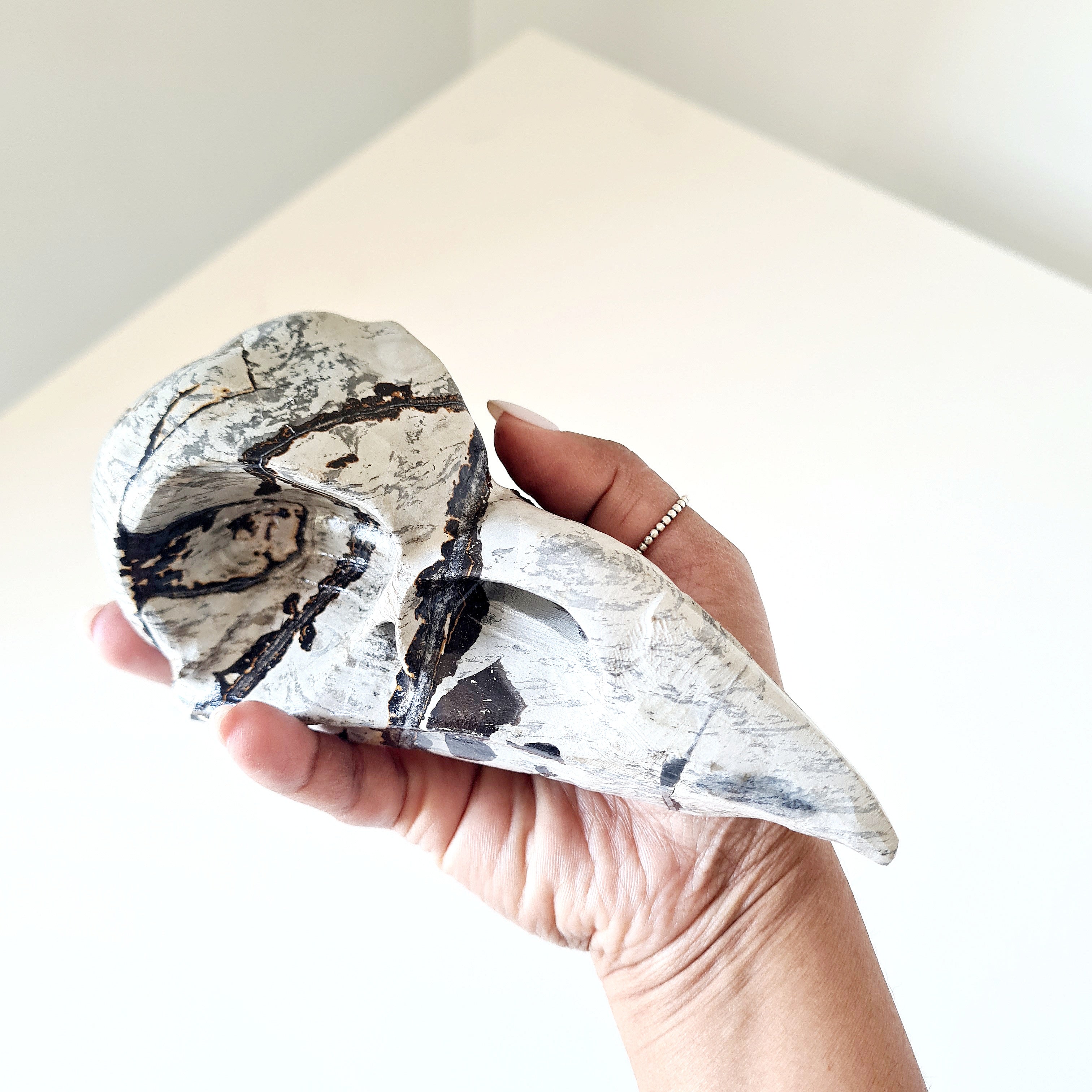 Mystic Picture Jasper Raven Skull | 14 cm | 400 g
