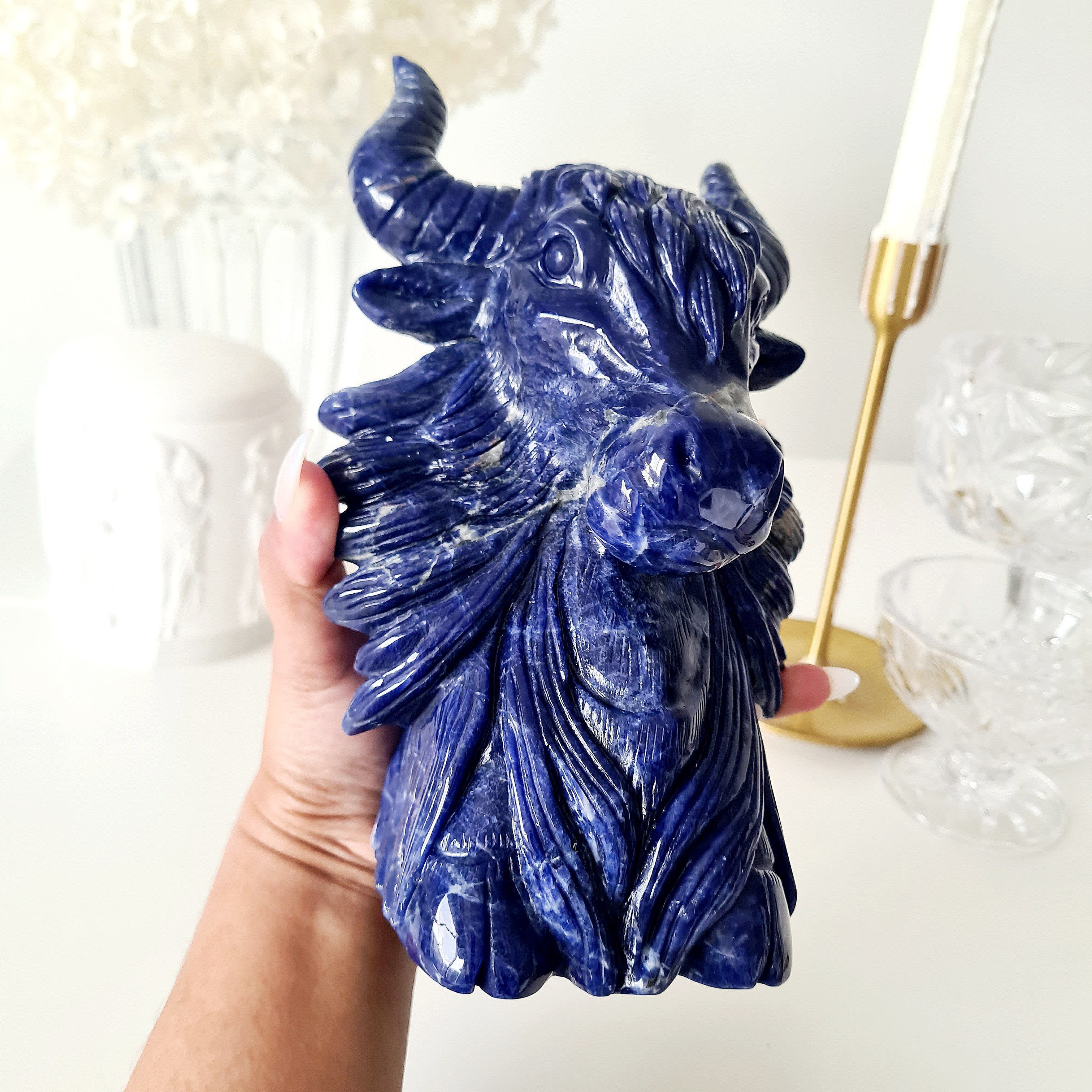 🦬 Sodalite Bison | Strength & Power | 1.9 kg