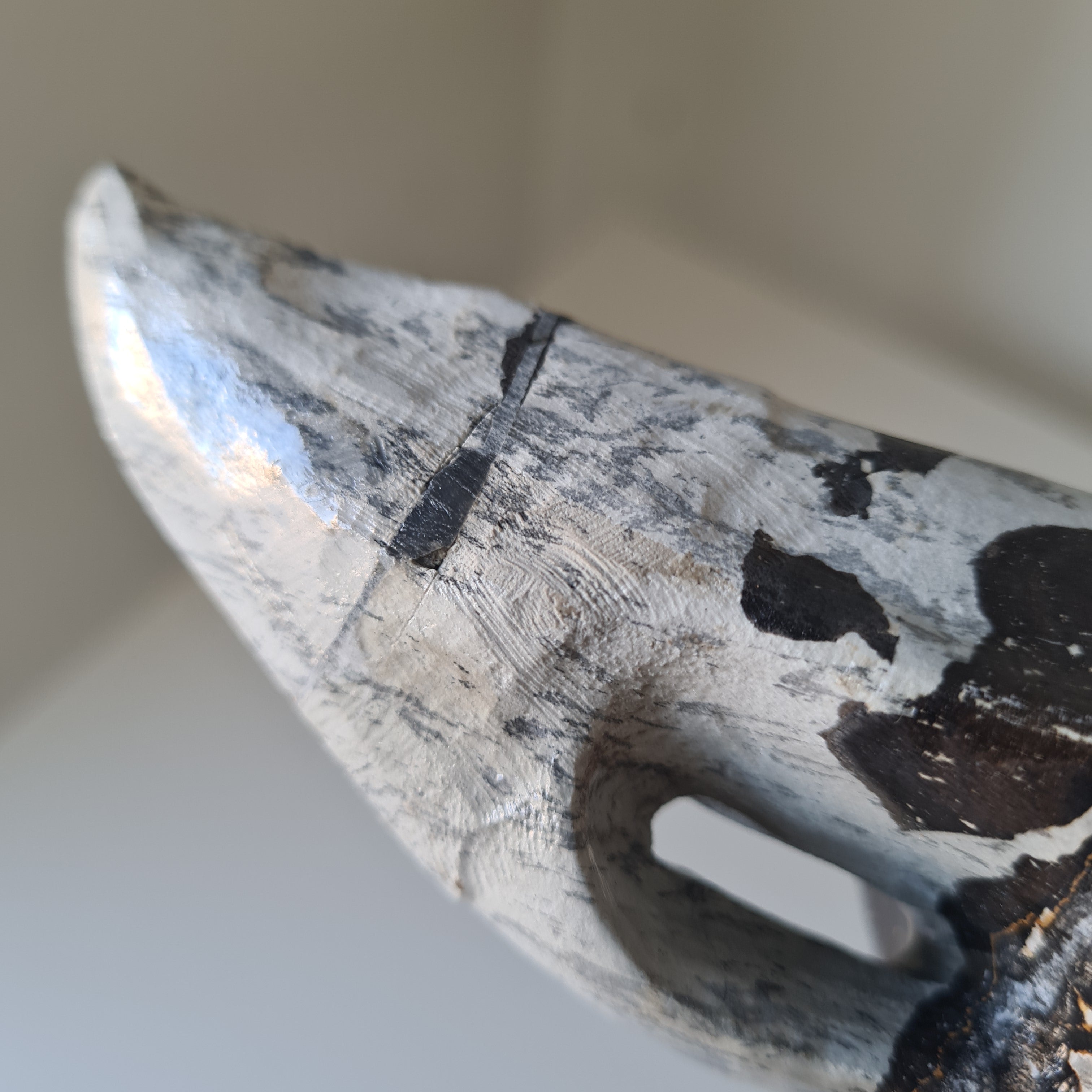 Mystic Picture Jasper Raven Skull | 14 cm | 400 g