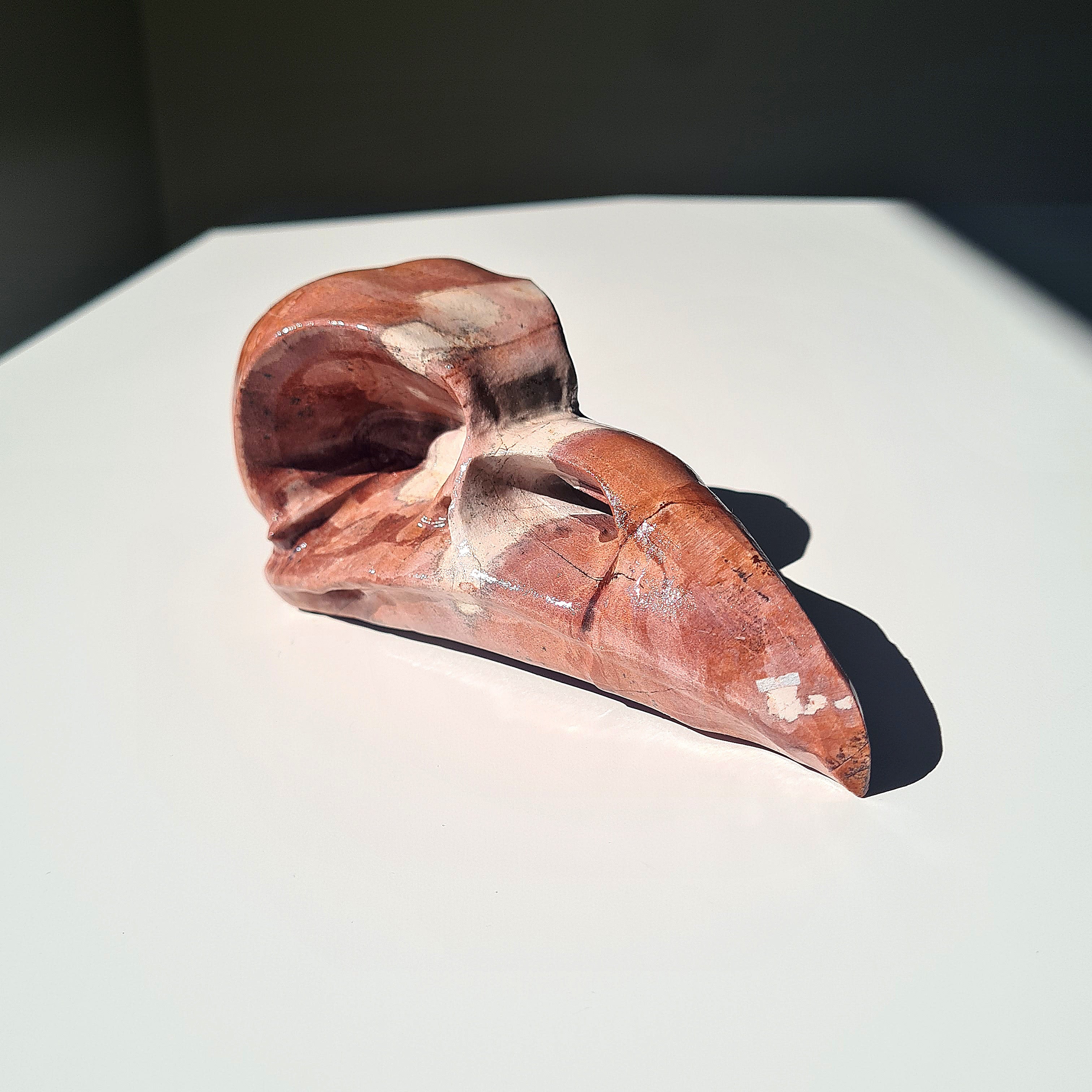 Mystic Picture Jasper Raven Skull | 13 cm