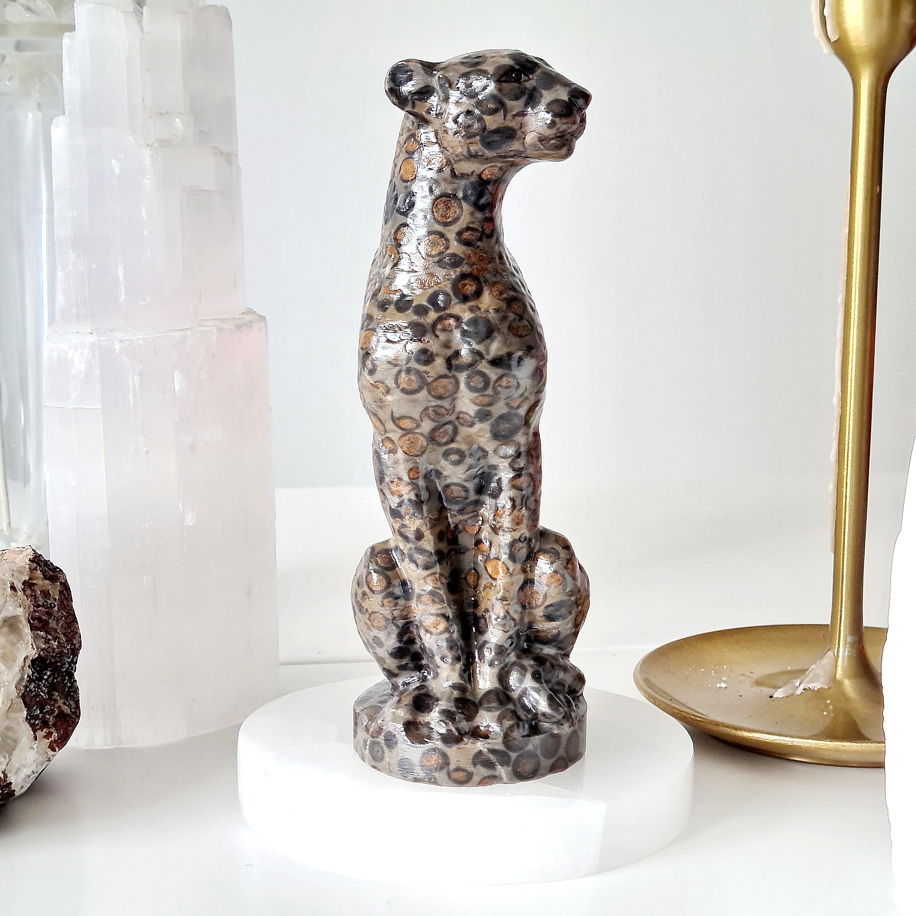 Jasper Leopard 🐆 | Earth Energy | 517 g
