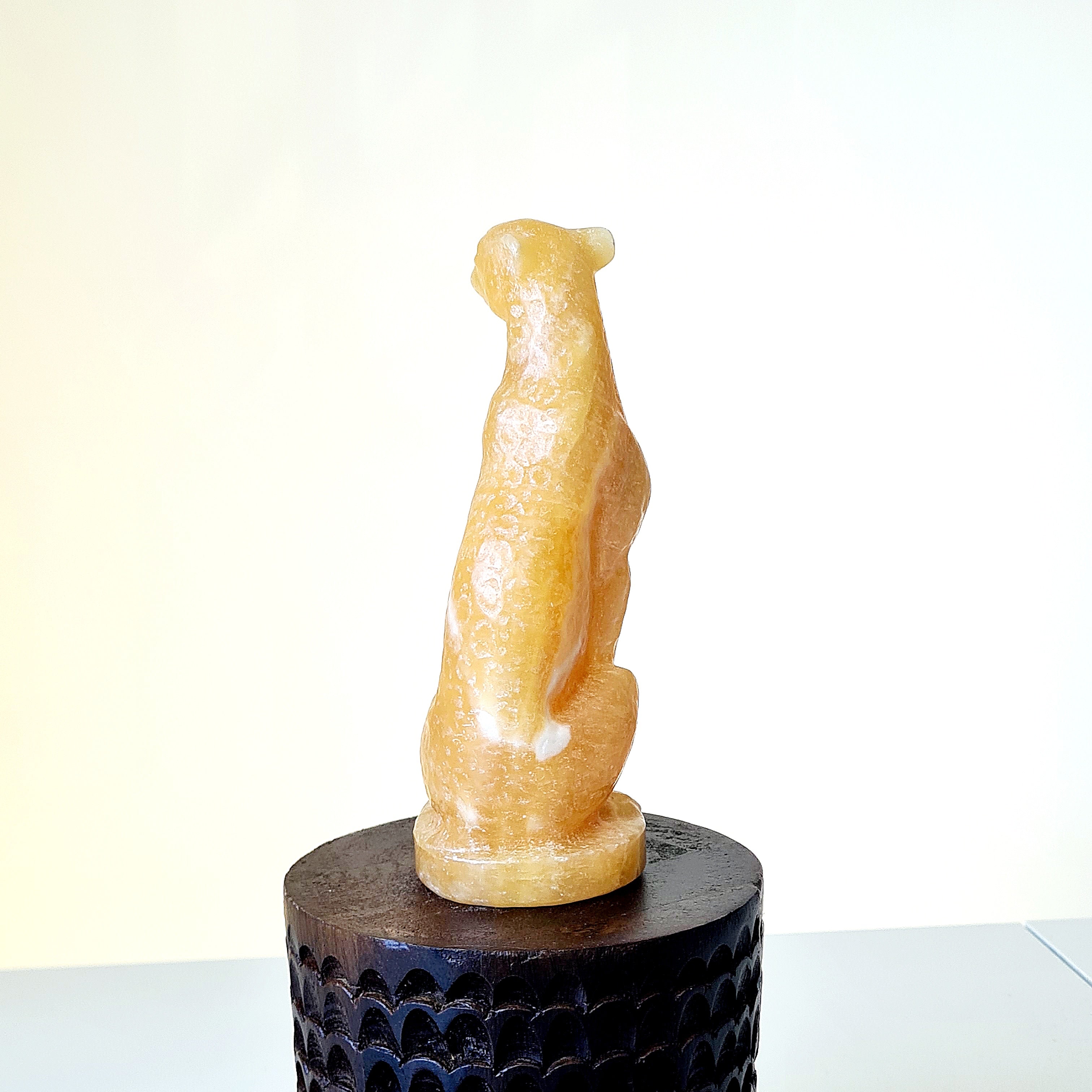 Calcite leopard Carving | 500 g | Appx 15 cm tall