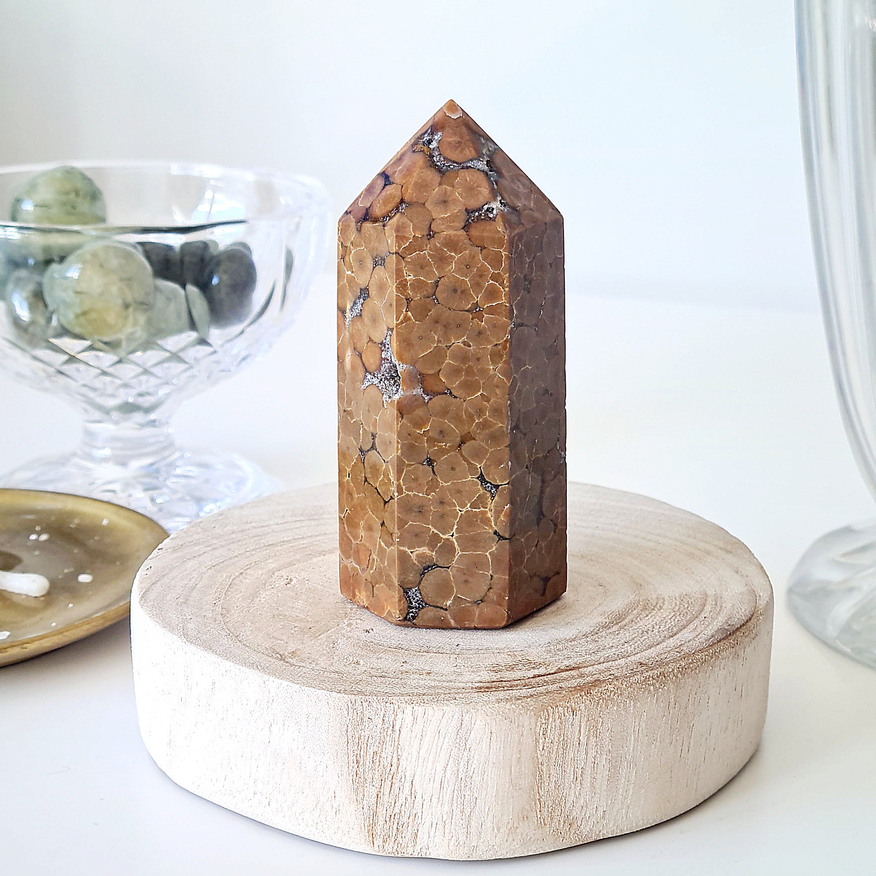 Orbicular Agate | 207 g
