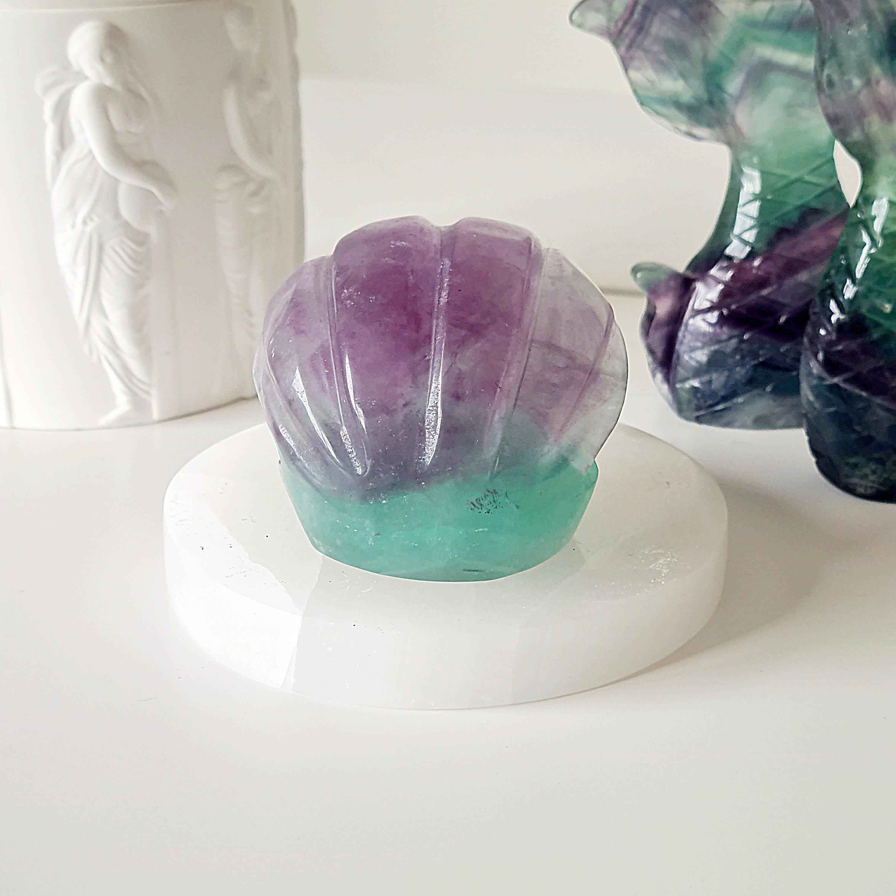 Mermaids Treasure Shell 🐚 | 5 | 6.5 cm