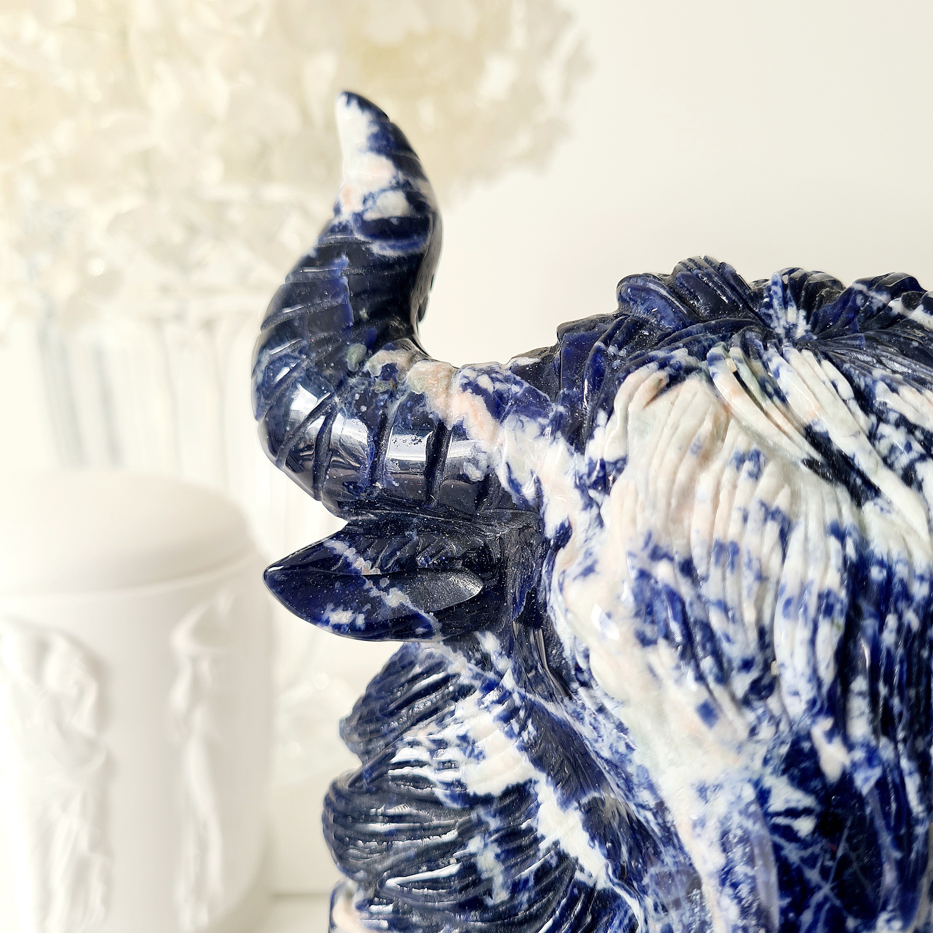 🦬 Sodalite Bison | Strength & Power | 1.6 kg