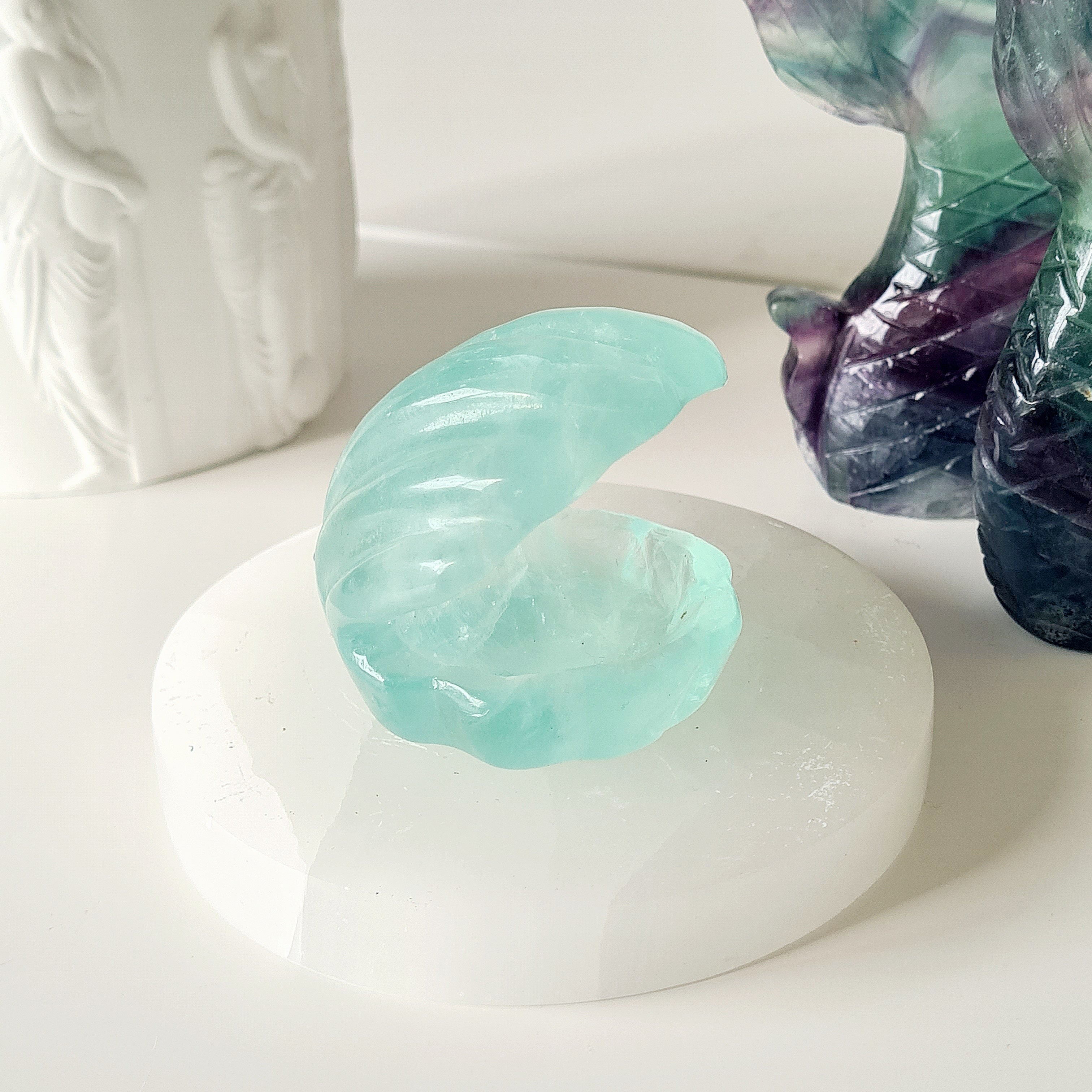Mermaids Treasure Shell 🐚 | 1 | 6 cm  |