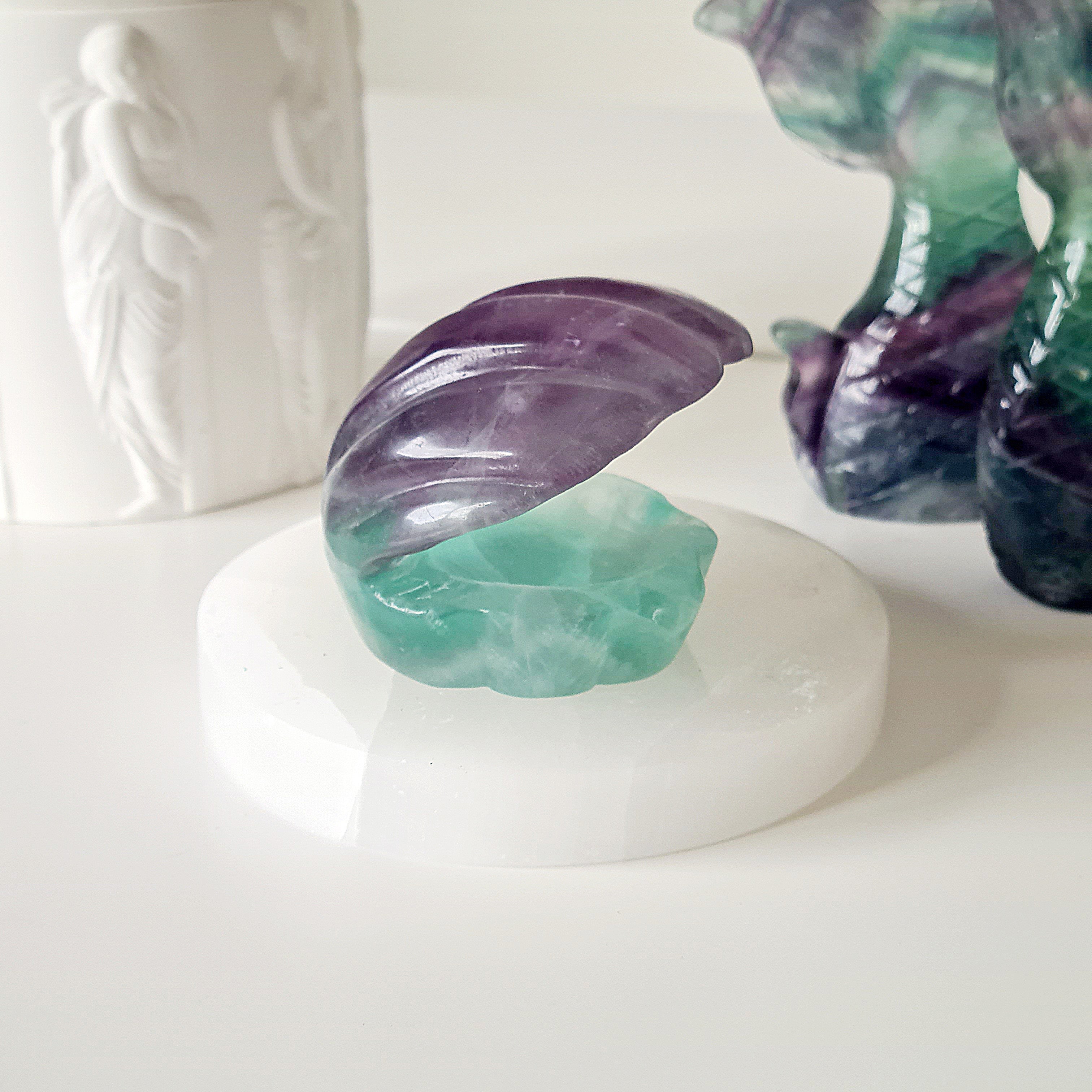 Mermaids Treasure Shell 🐚 | 5 | 6.5 cm
