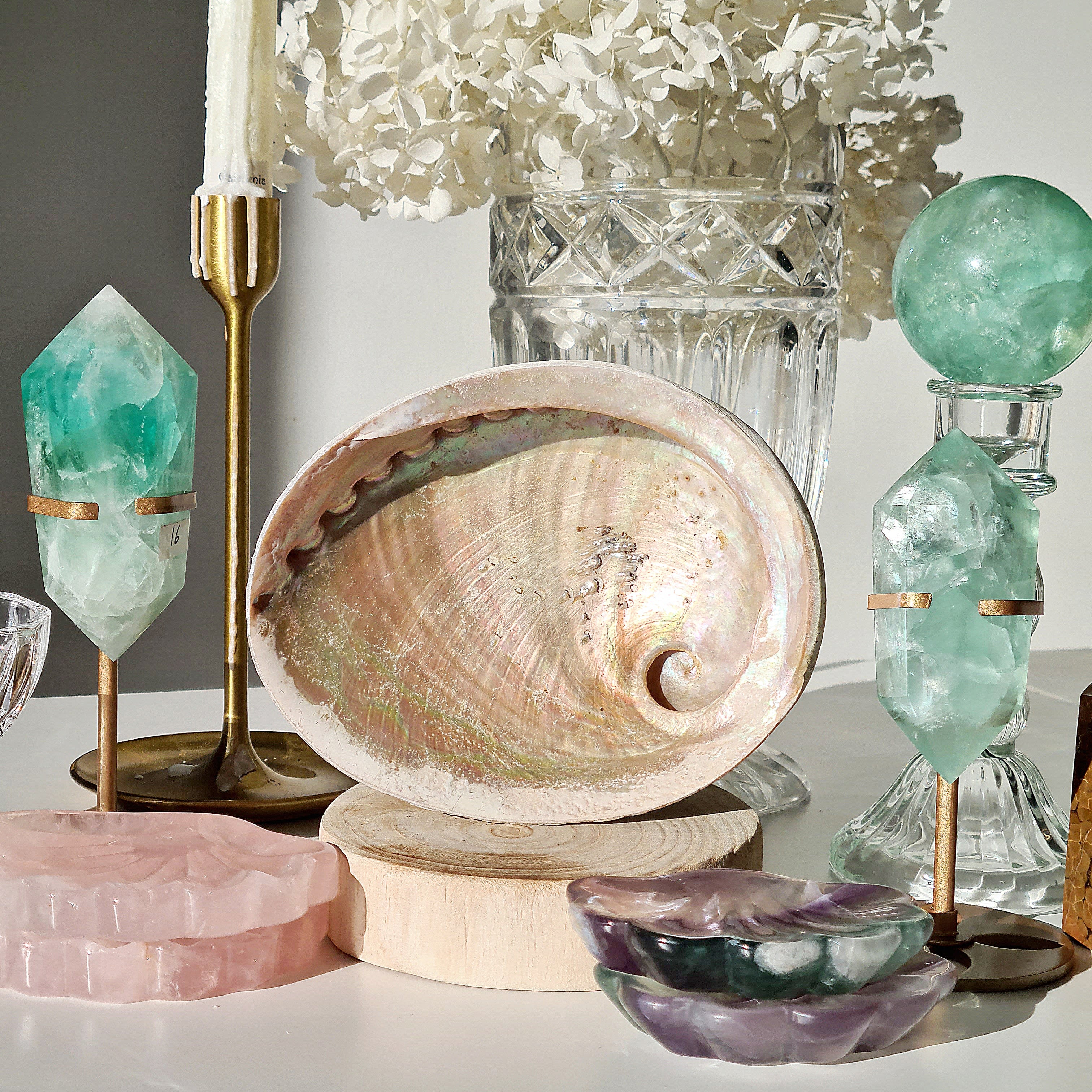 Abalone Shell 🐚 | B | Large
