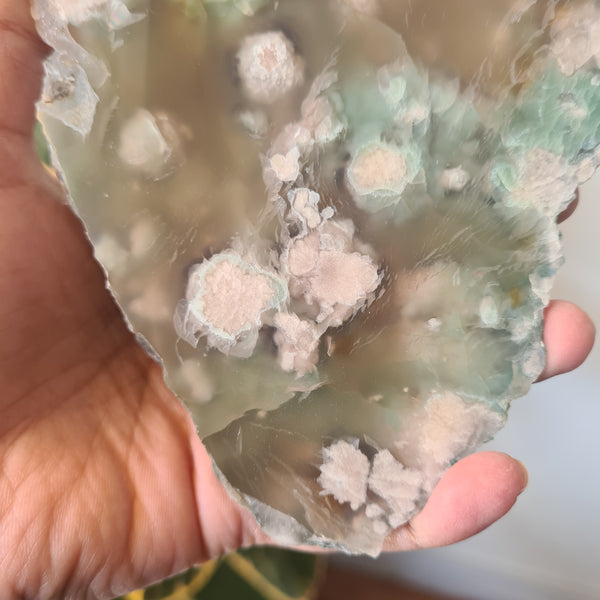 Flower Agate Slice ~9